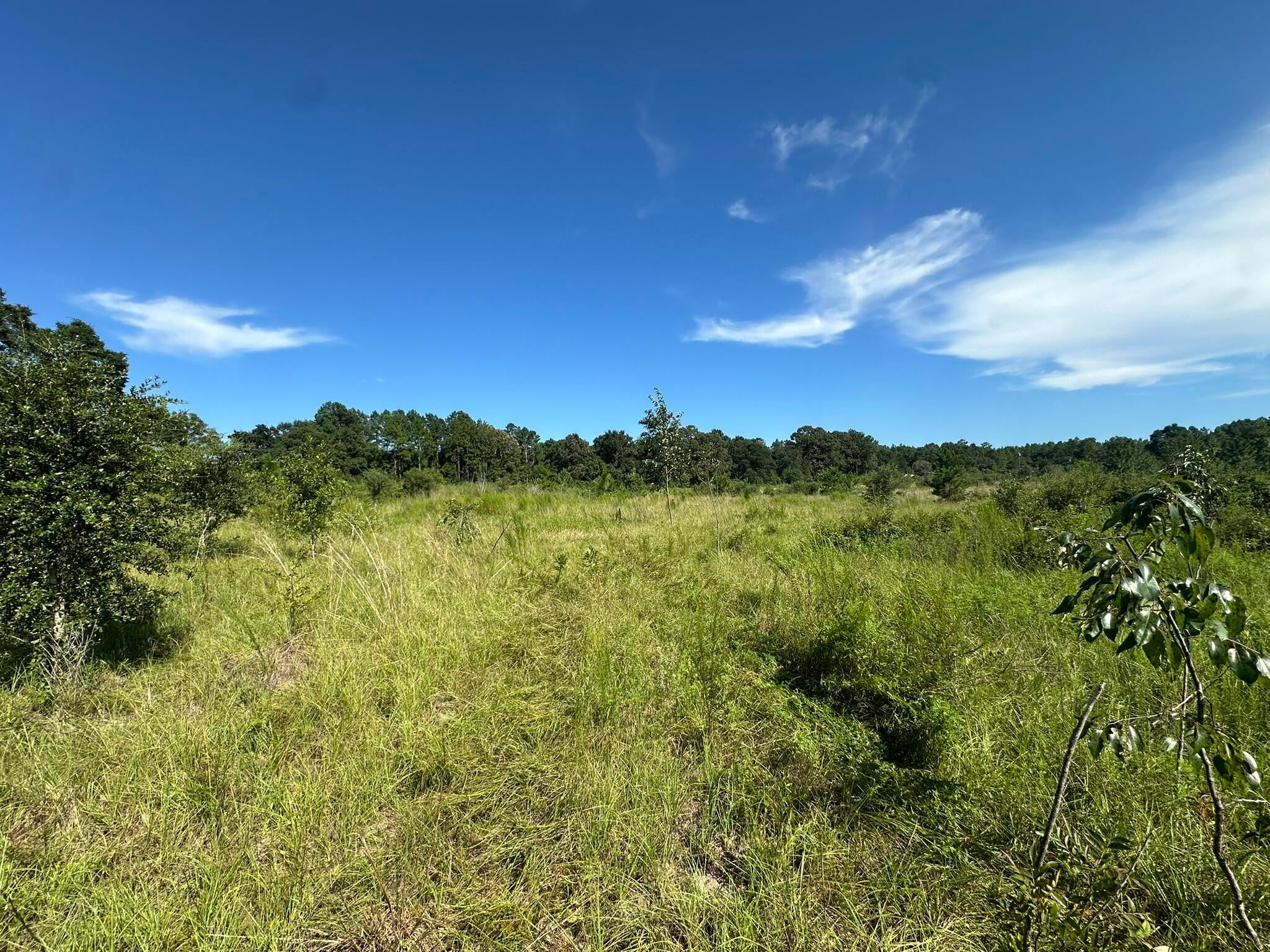 NO RECORDED SUBDIVISION - Land