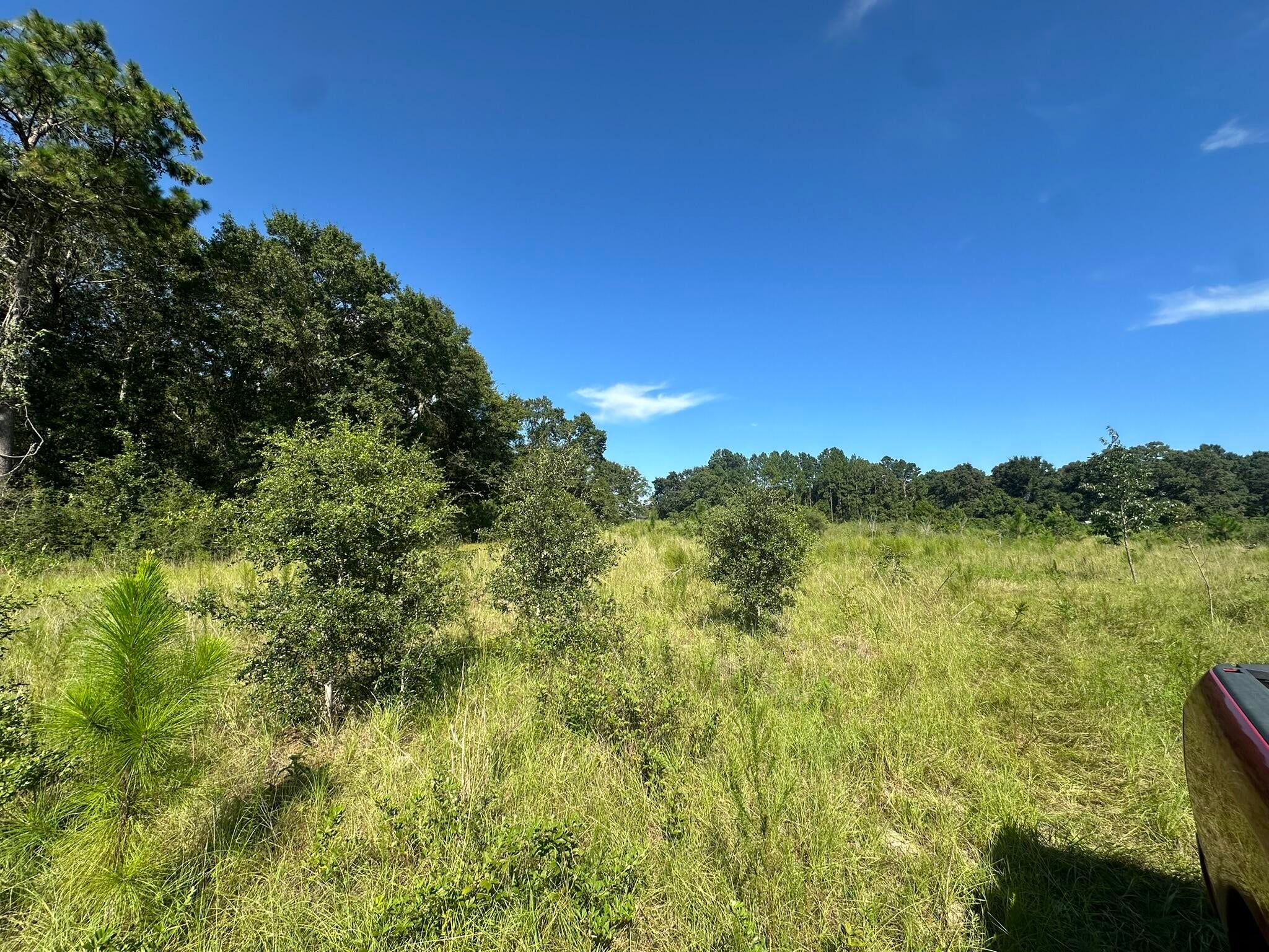NO RECORDED SUBDIVISION - Land