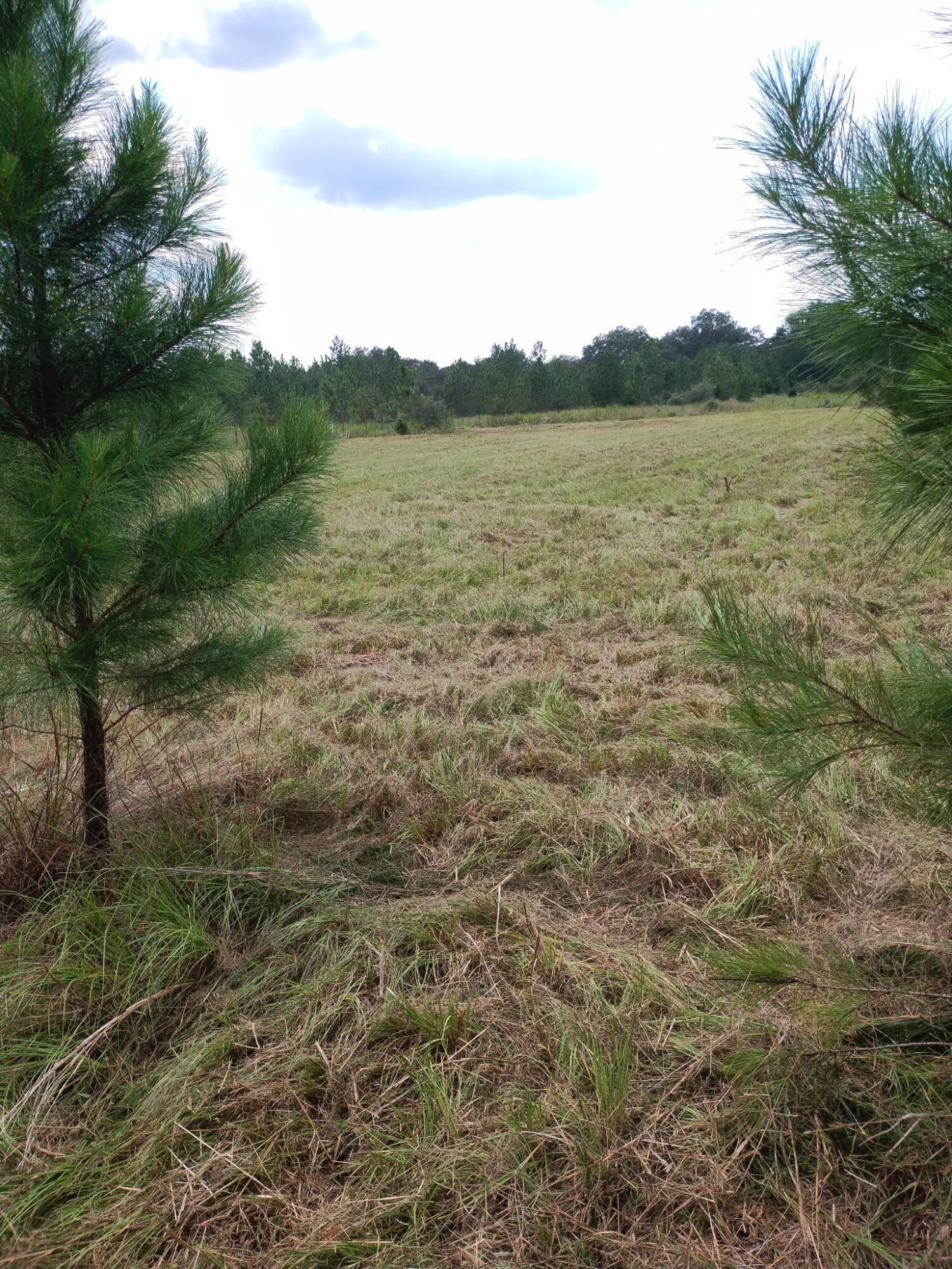 NO RECORDED SUBDIVISION - Land