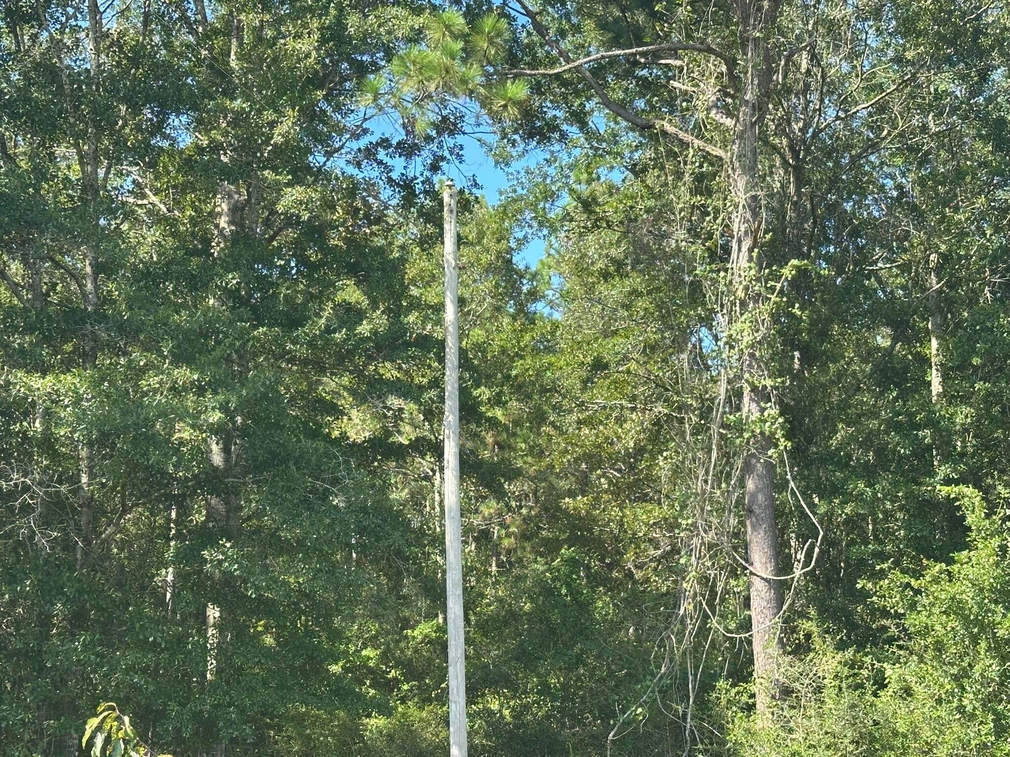 NO RECORDED SUBDIVISION - Land