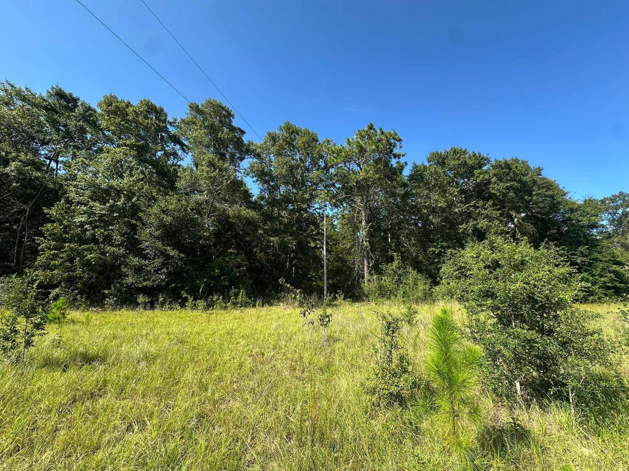 NO RECORDED SUBDIVISION - Land