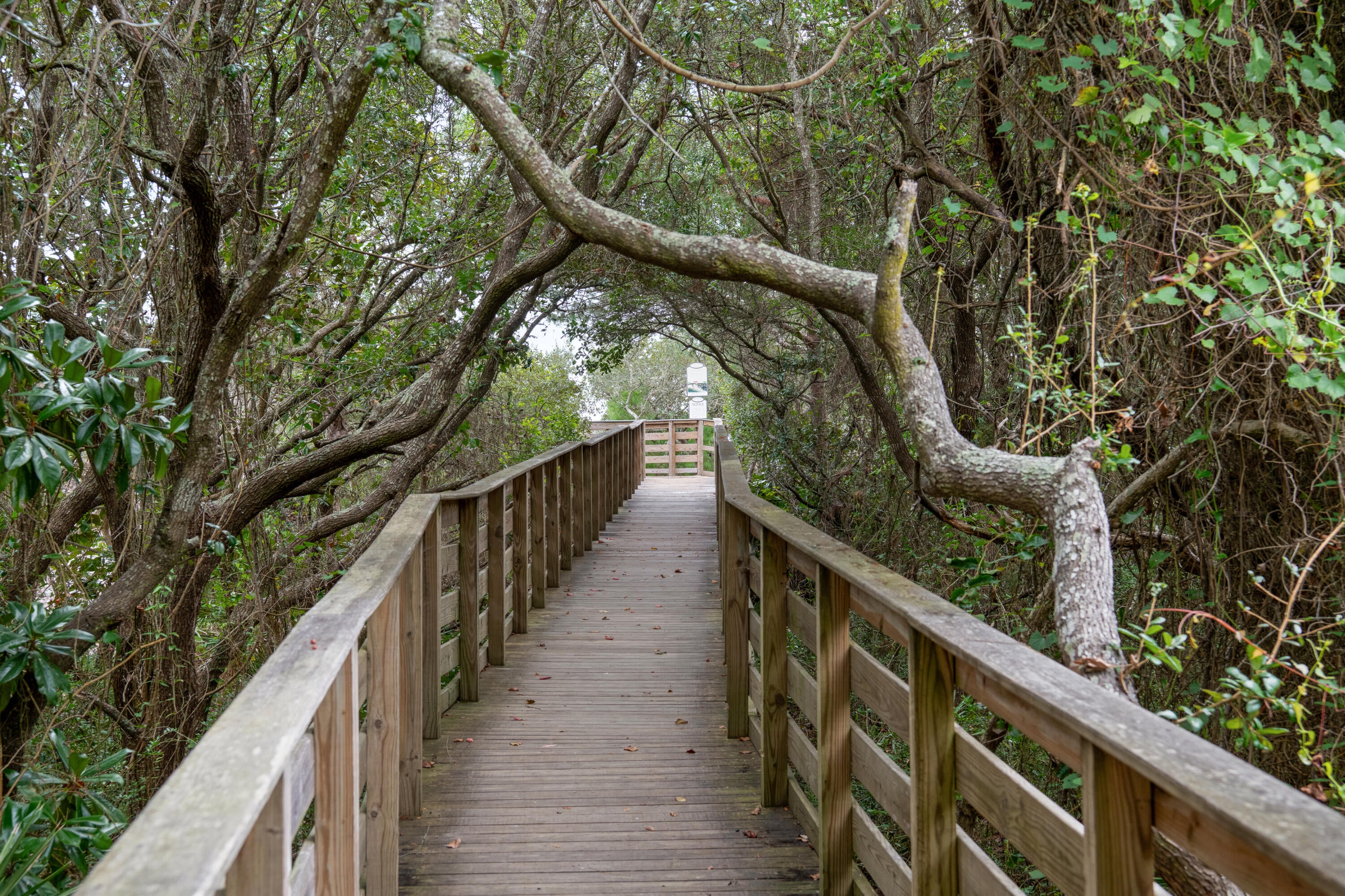 THE PRESERVE AT GRAYTON BEACH - Residential