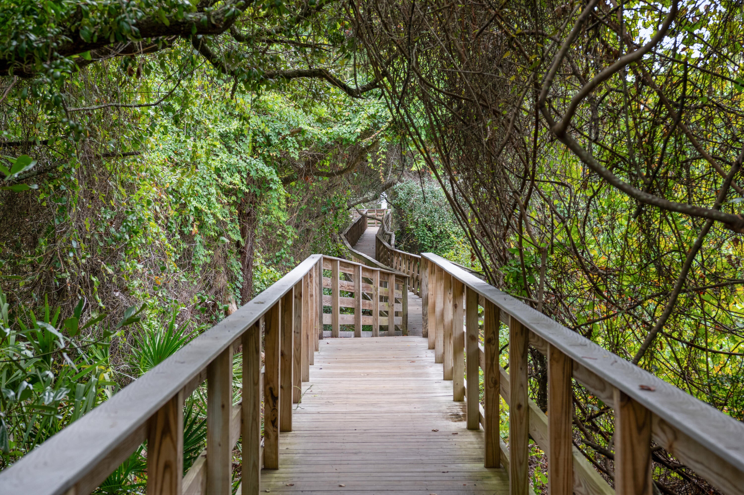 THE PRESERVE AT GRAYTON BEACH - Residential