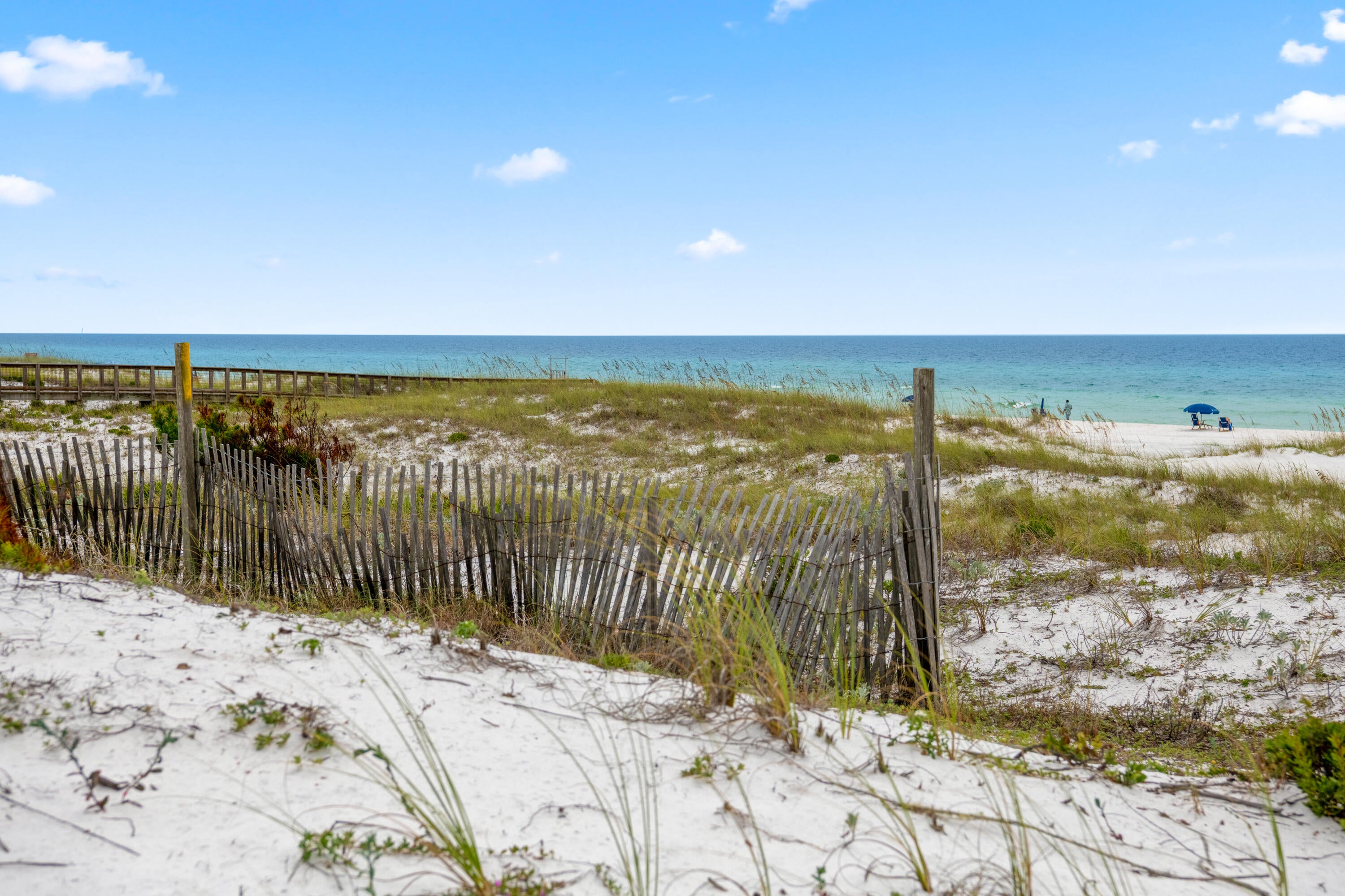 THE PRESERVE AT GRAYTON BEACH - Residential