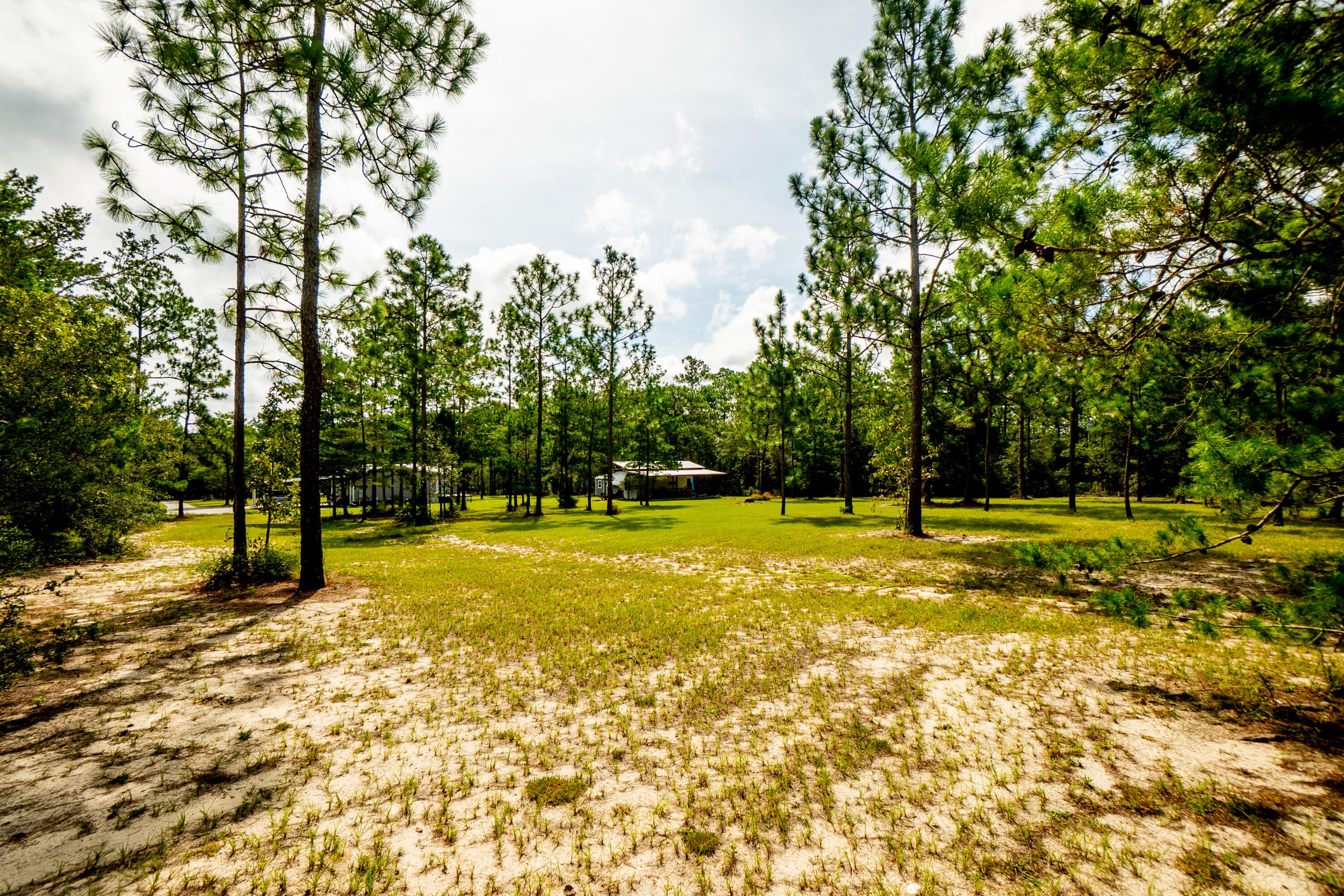 COUNTRY CLUB MANOR - Residential