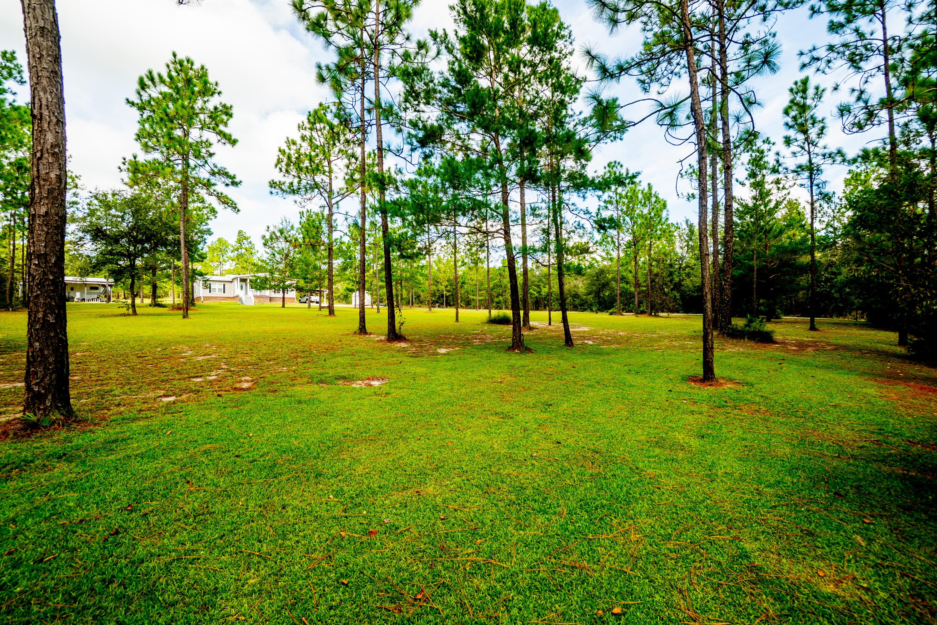 COUNTRY CLUB MANOR - Residential