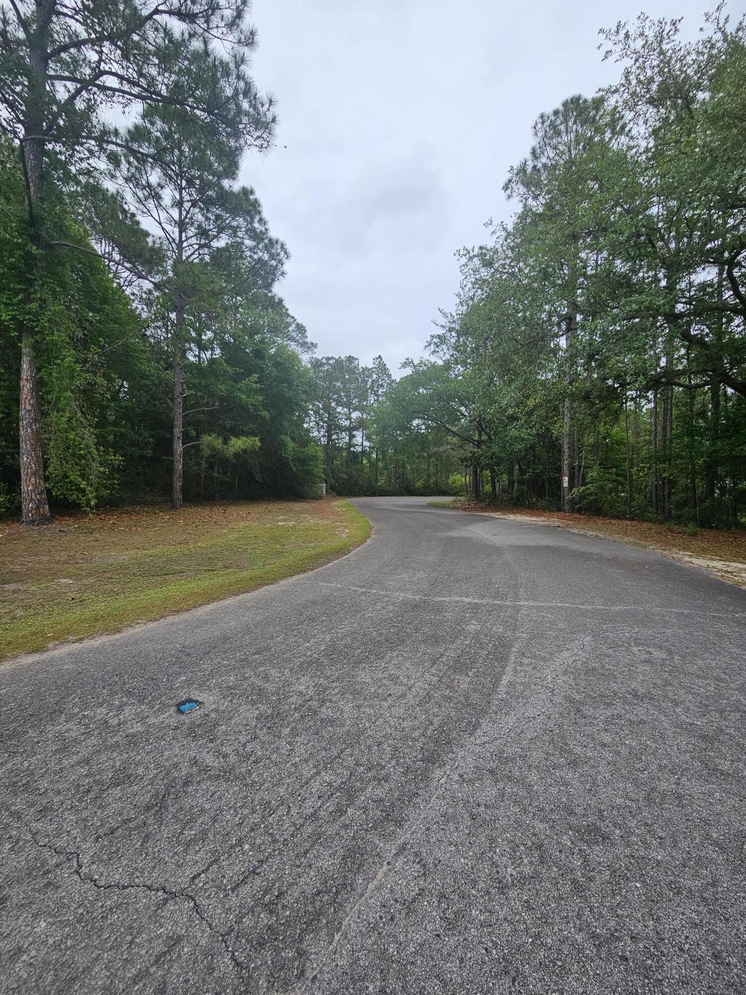 Dolphin Cove Estates - Land