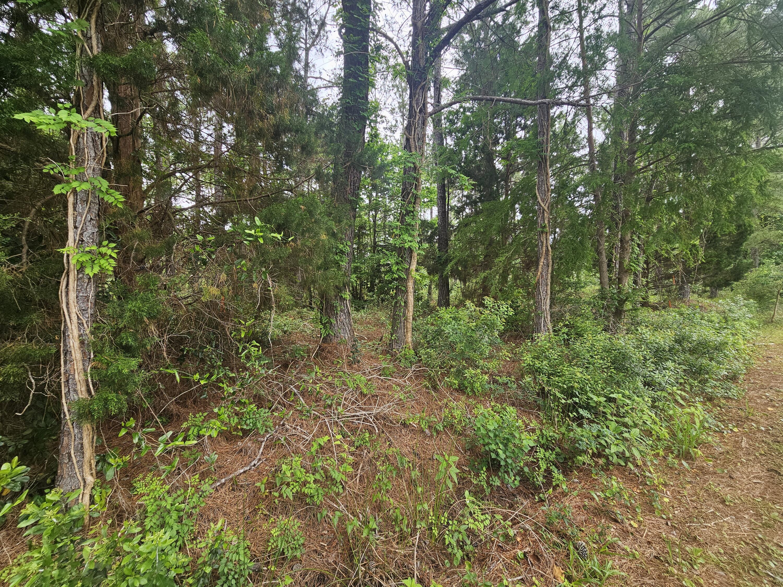 Dolphin Cove Estates - Land