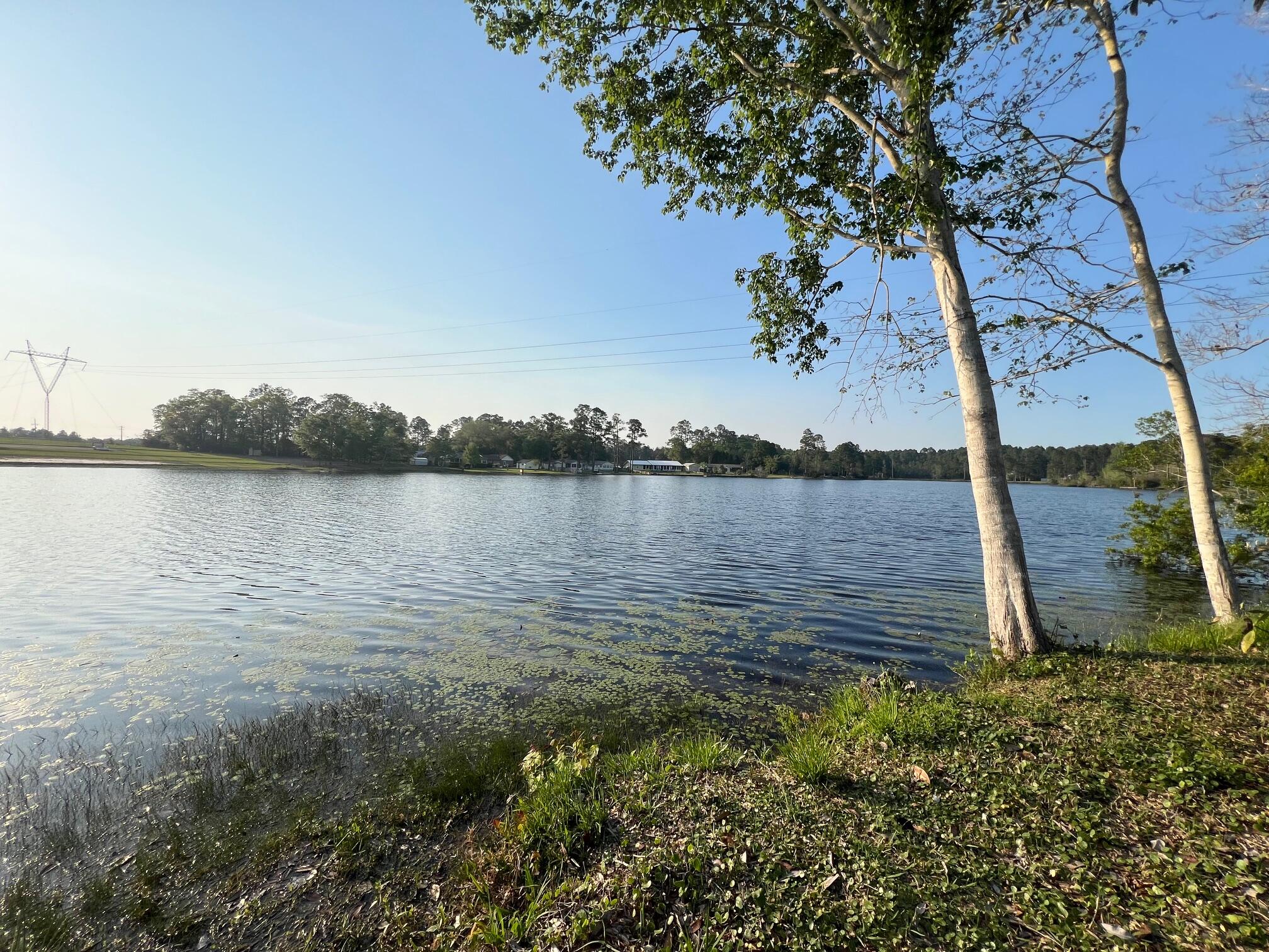 MEADOW LAKE ESTATES - Residential