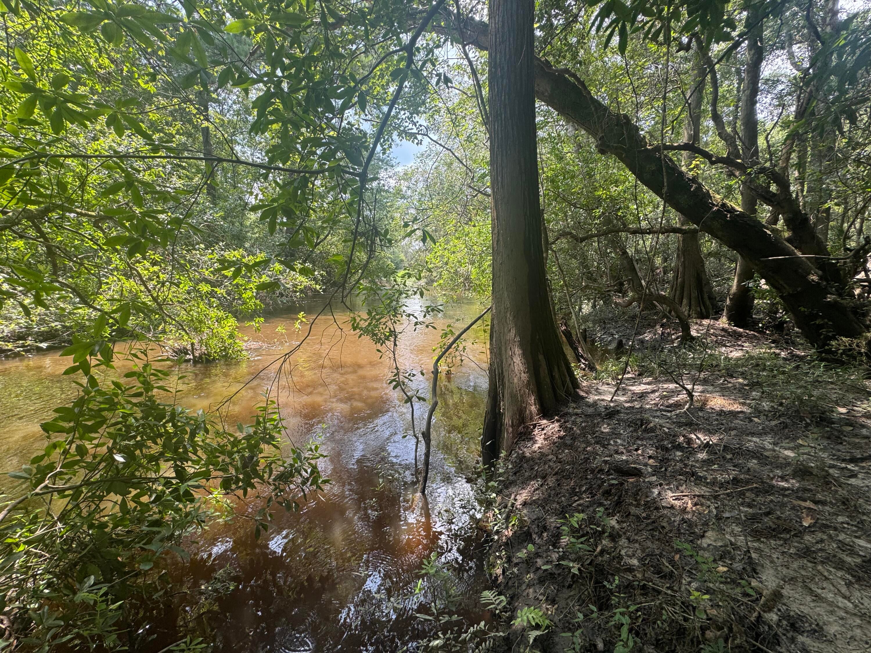 Shoal River Plantations, Inc. - Land