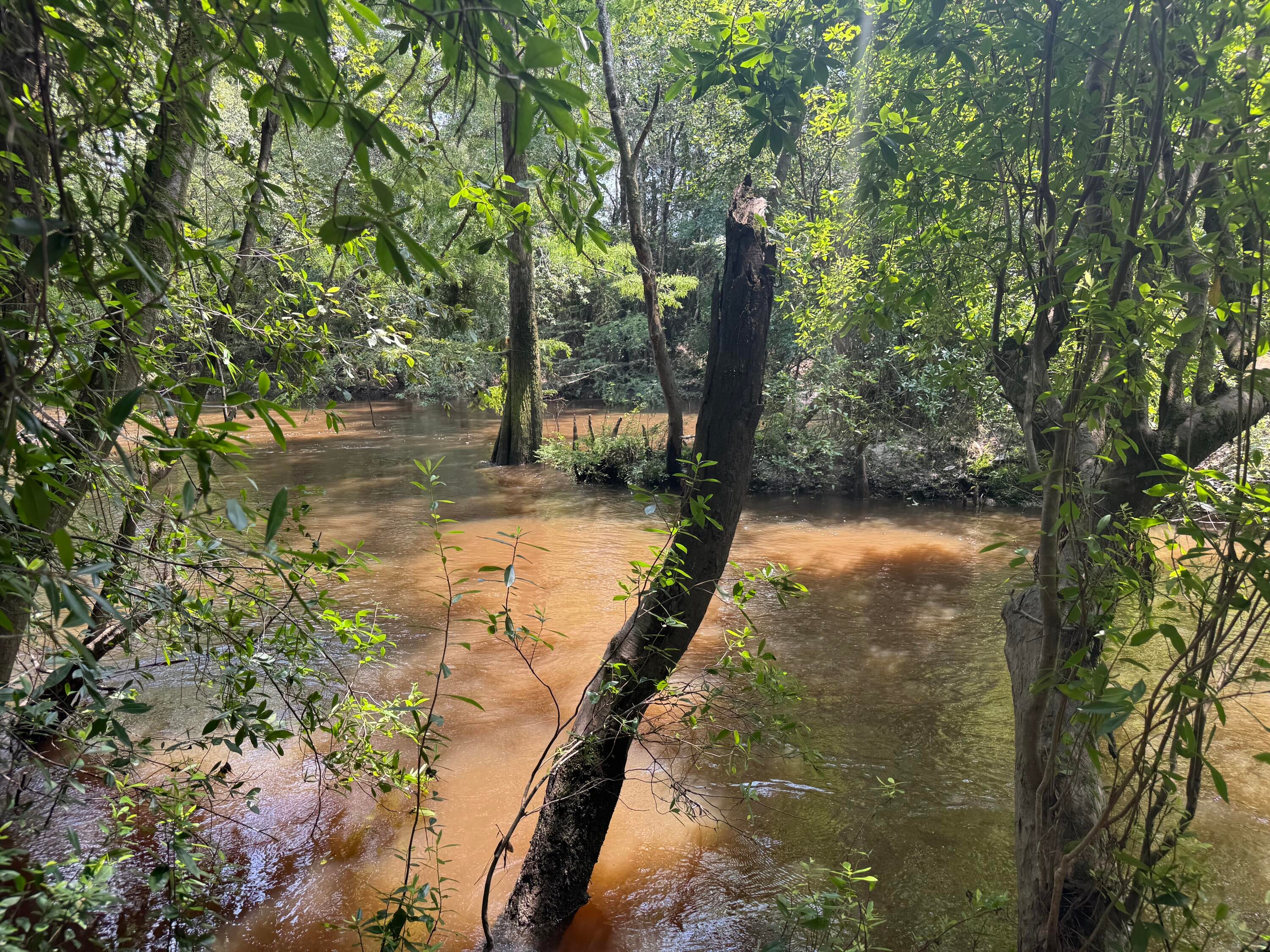 Shoal River Plantations, Inc. - Land