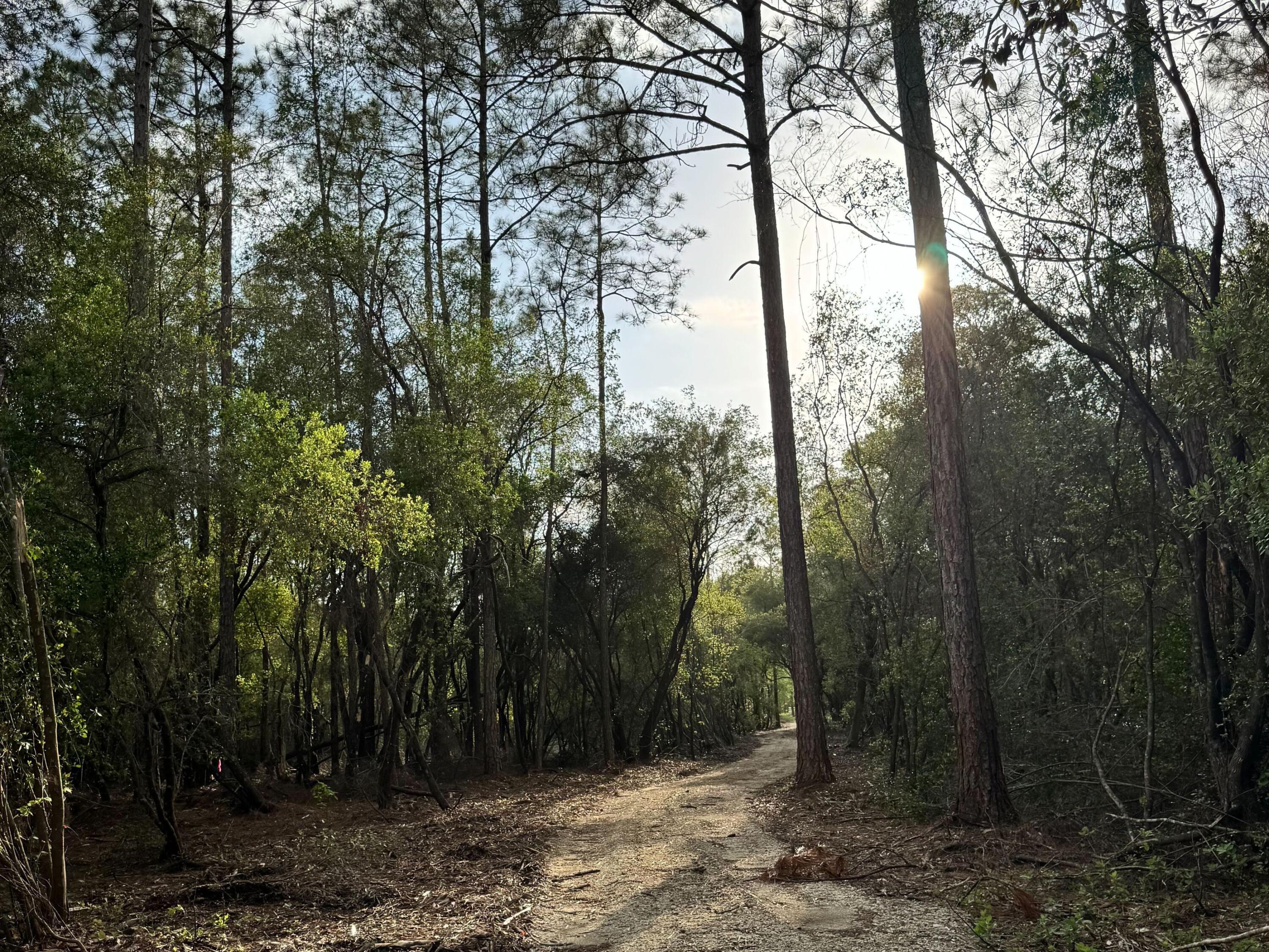 Pleasant Hill Woods - Land