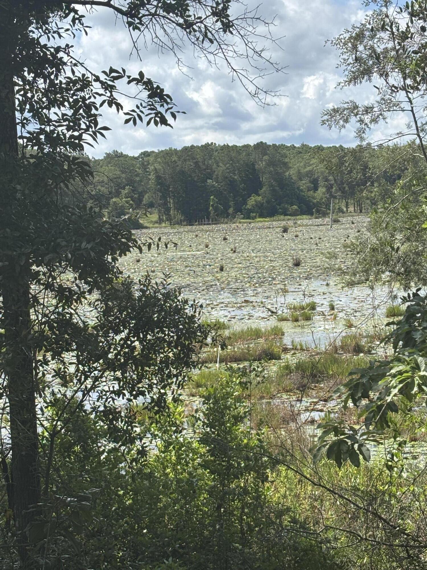 Seacoast Estates - Land