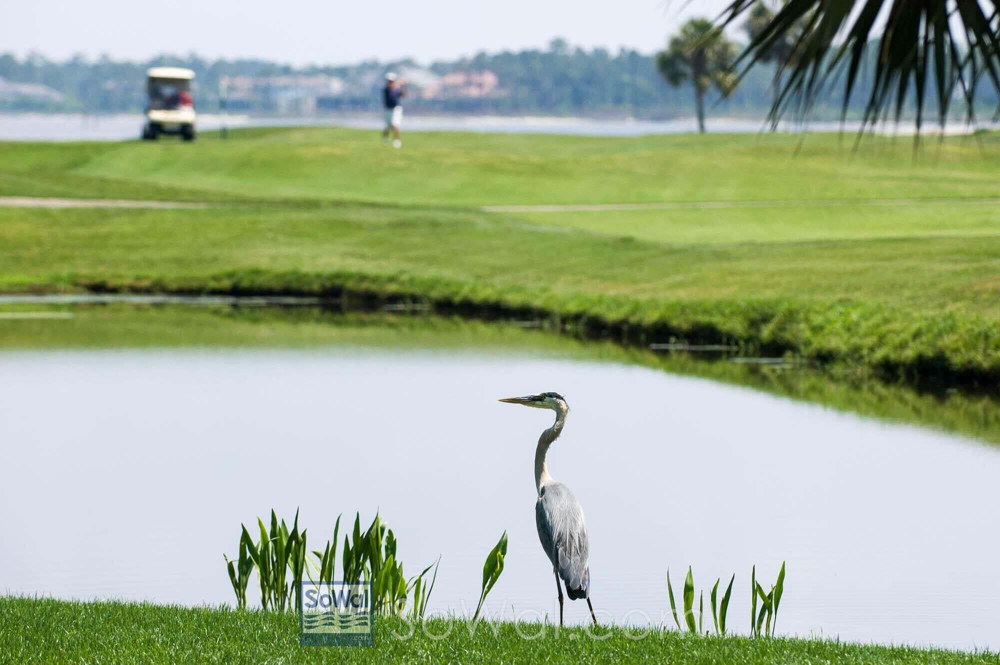 SANDESTIN ESTATES - Residential