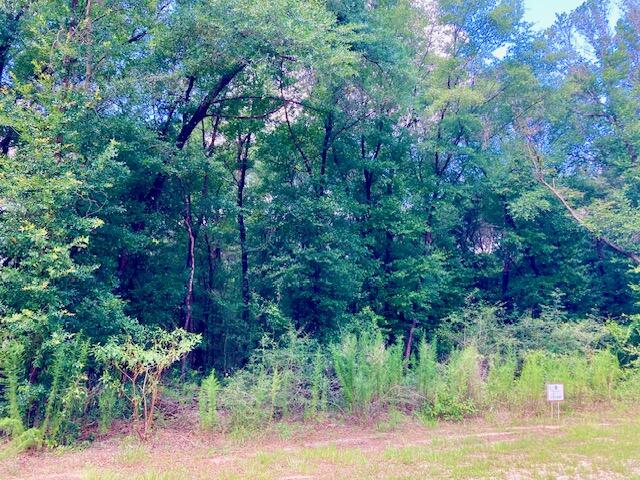 Seacoast Estates - Land