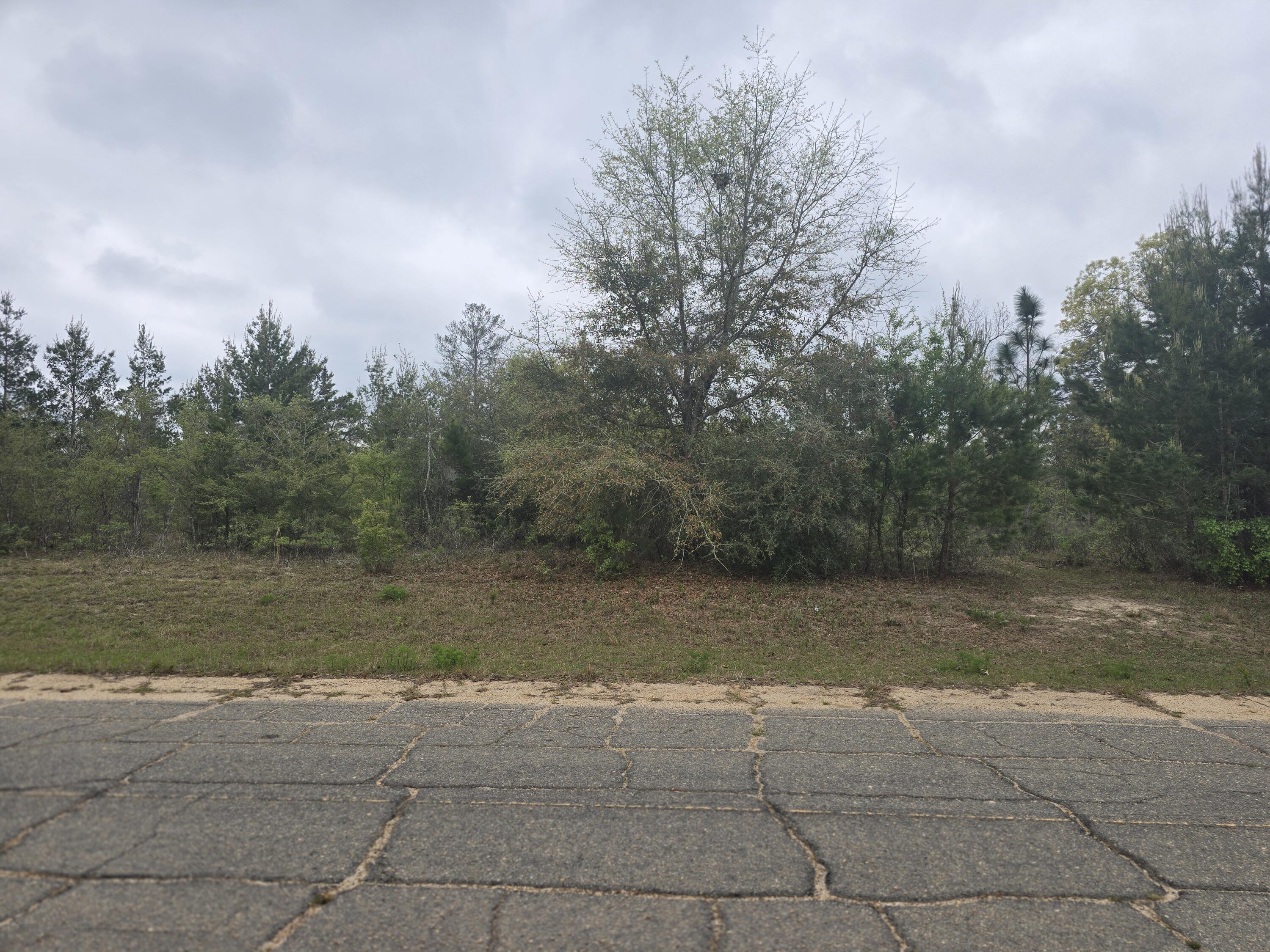 Perfect Home Site - Lot in the Sunny Hills Community, an established subdivision with over 20K lots currently being developed with several national builders. Subdivision offers an 18-hole golf course with clubhouse, numerous lakes with white sandy beaches for recreational activities such as swimming, boating, fishing, and best of all, NO HOA! Sunny Hills is located in Washington County between Panama City Beach and Chipley within the Vernon school district.  Adjacent lot available for purchase too, individually or in a package.
