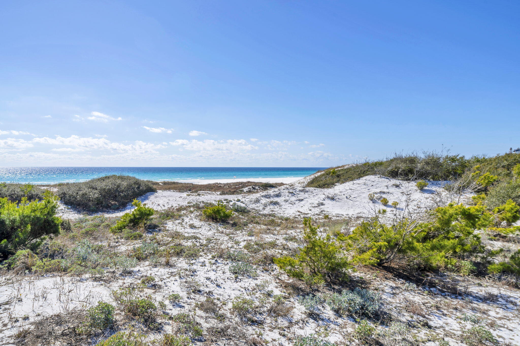 THE PRESERVE AT GRAYTON BEACH - Residential