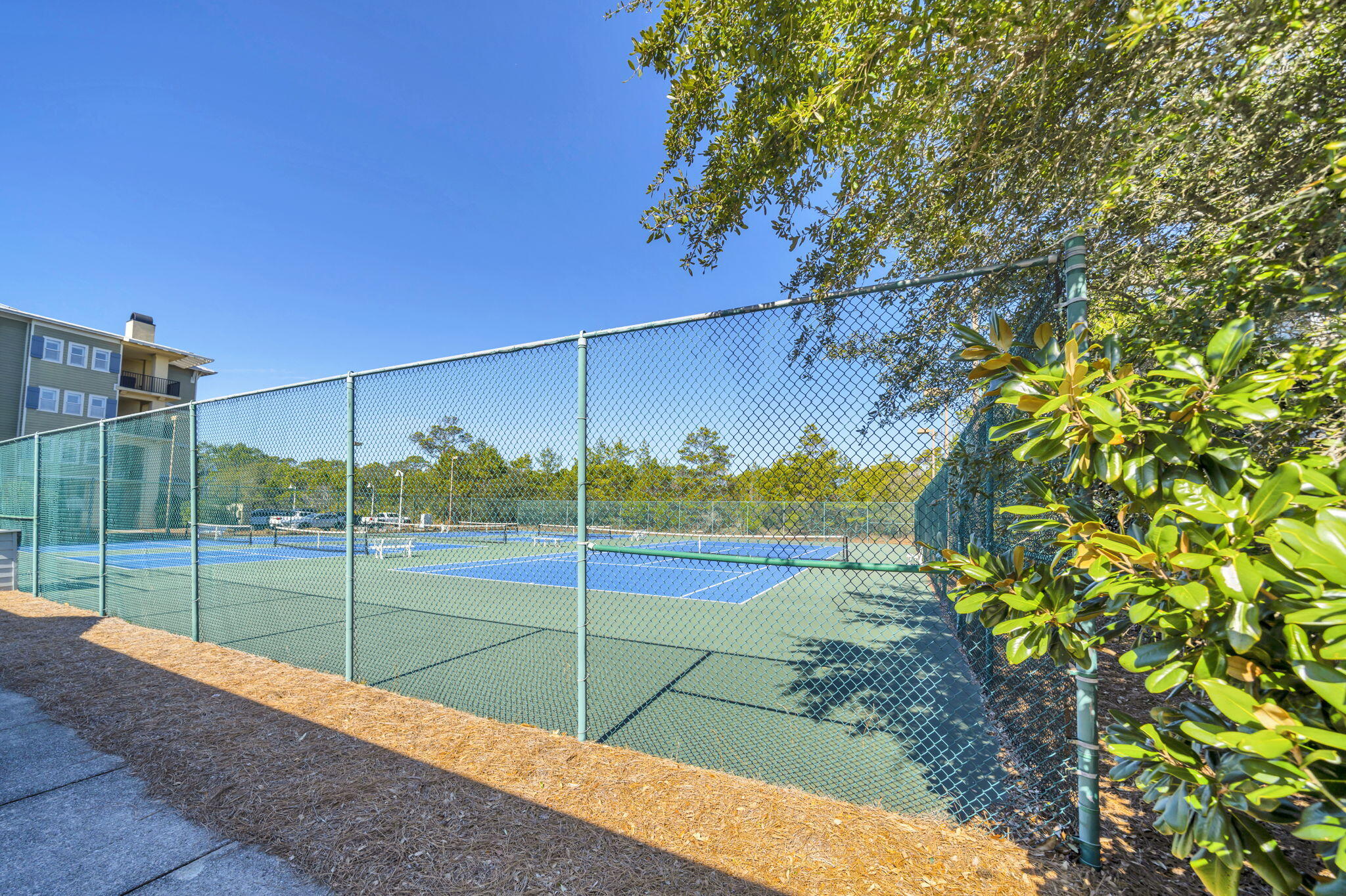 THE PRESERVE AT GRAYTON BEACH - Residential