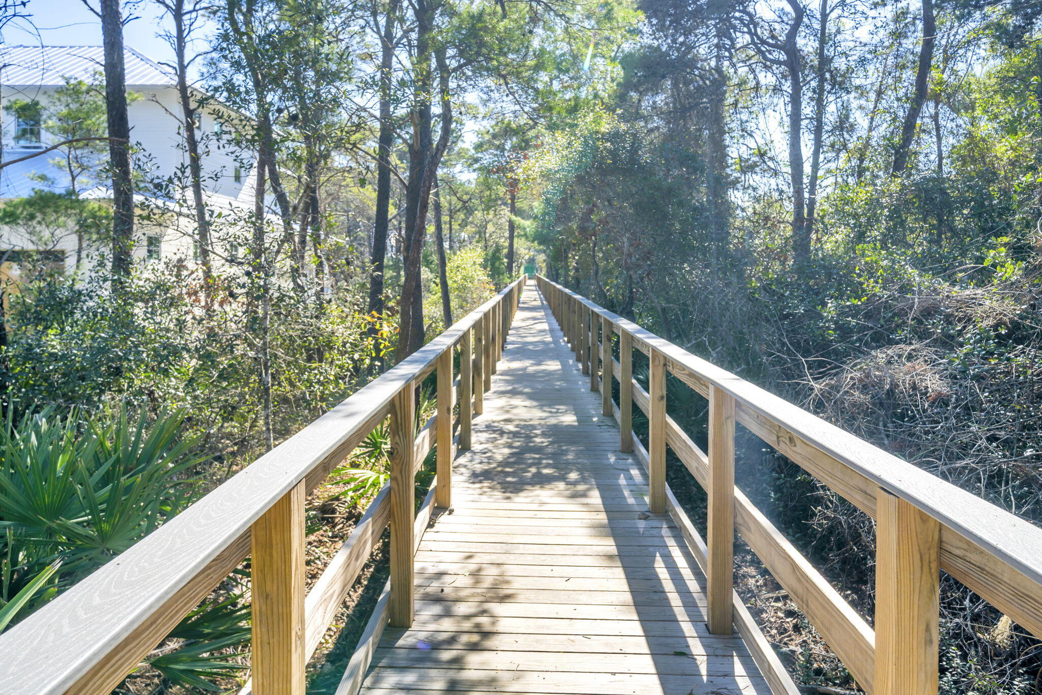 THE PRESERVE AT GRAYTON BEACH - Residential