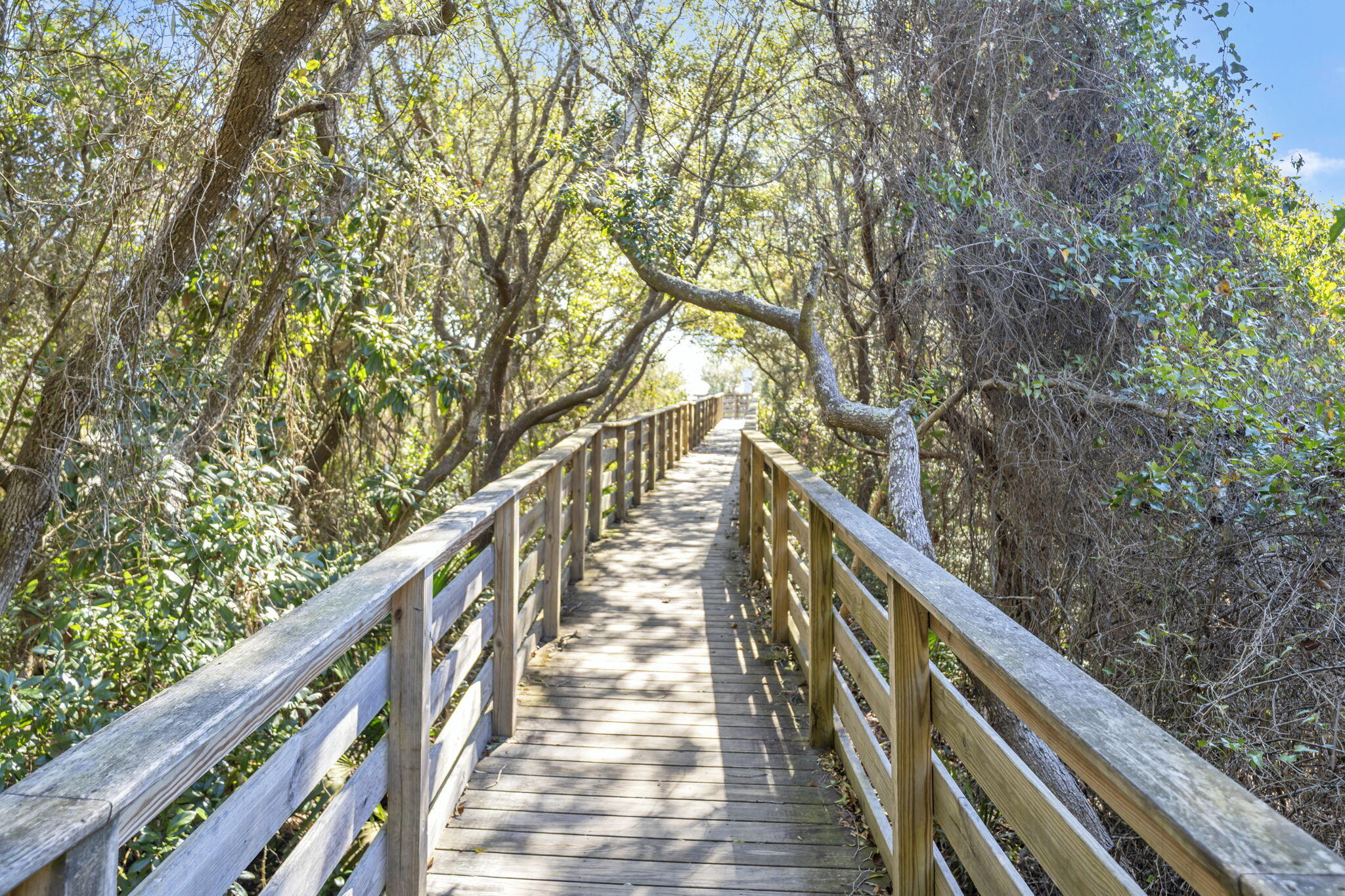 THE PRESERVE AT GRAYTON BEACH - Residential