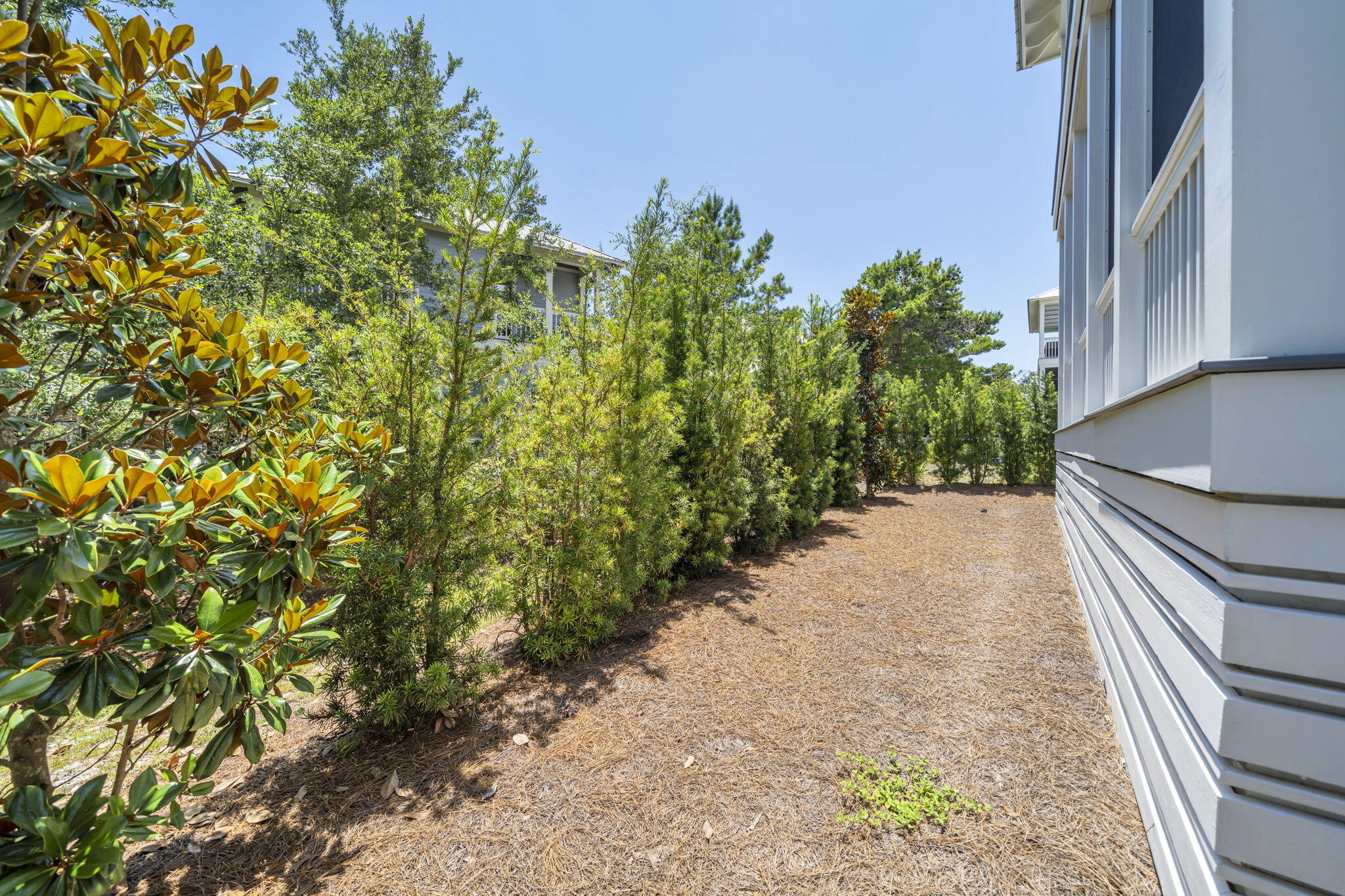 THE PRESERVE AT GRAYTON BEACH - Residential