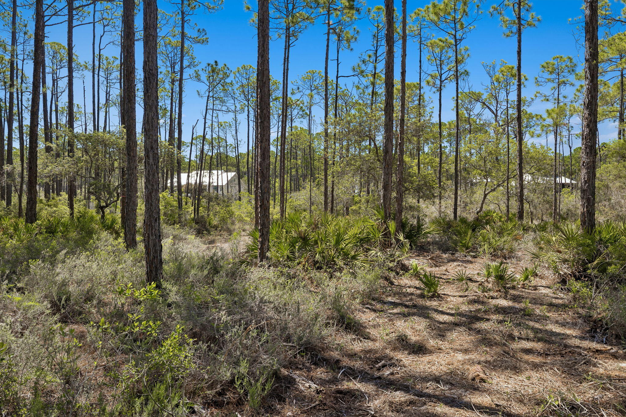 RIVERCAMPS ON CROOKED CREEK PH 2 - Land