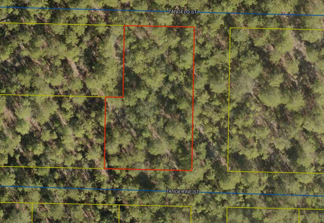 COUNTRY CLUB MANOR SOUTH - Land