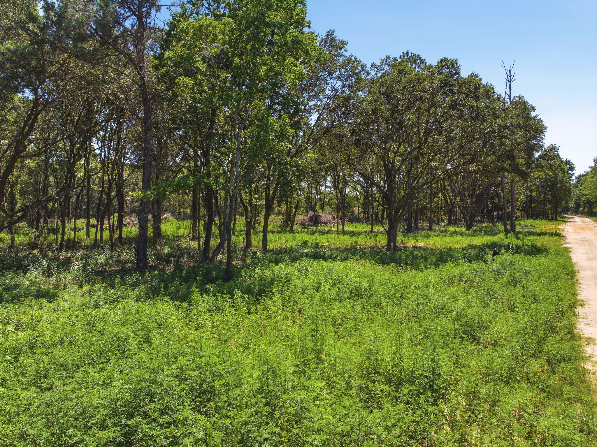 Opportunity awaits with this 4.34-acre parcel that is zoned Ag-RR in the growing East Milton area! Conveniently located just minutes from I-10 and Highway 90, this property combines accessibility with the privacy and space you've been looking for. With plenty of room to build, and already partially cleared, this acreage is ideal for a custom home and/or workshop. This lot offers a quiet setting while still having a short drive to Pensacola Beach or Navarre Beach.