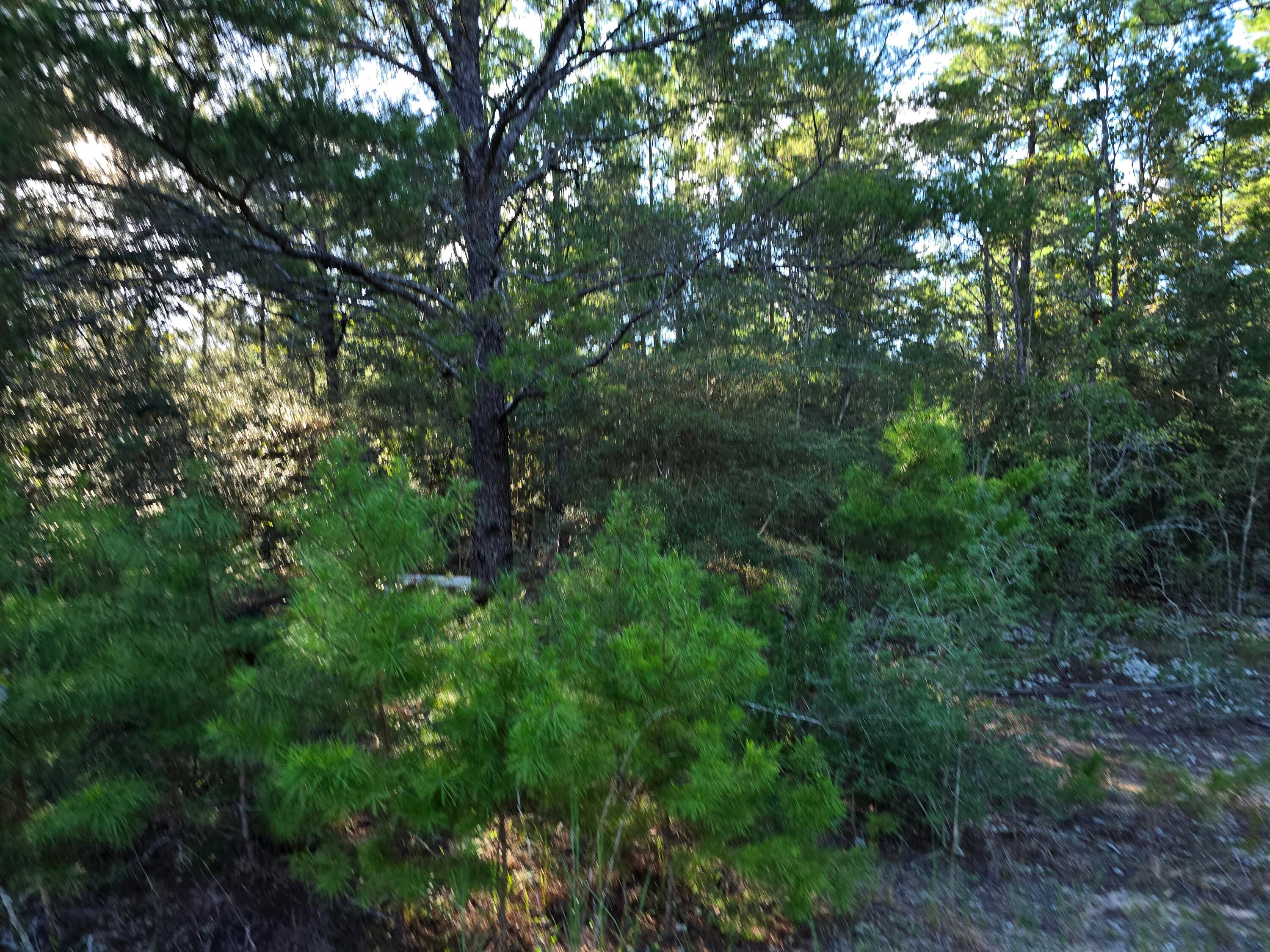 DEER SPRINGS UNREC - Land