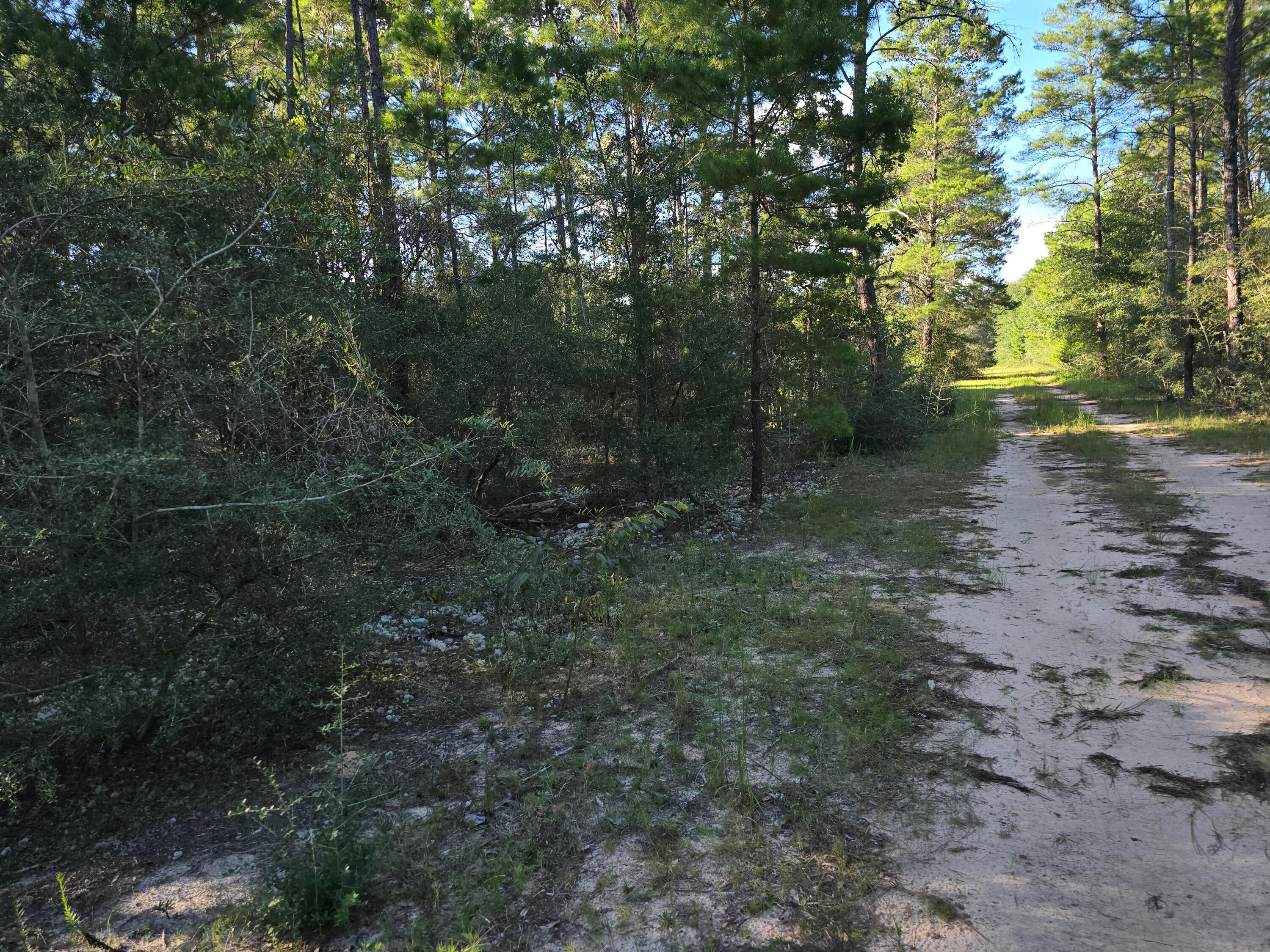 DEER SPRINGS UNREC - Land
