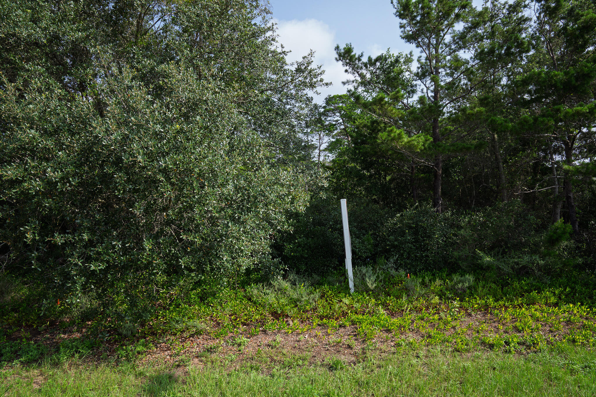 NO RECORDED SUBDIVISION - Land