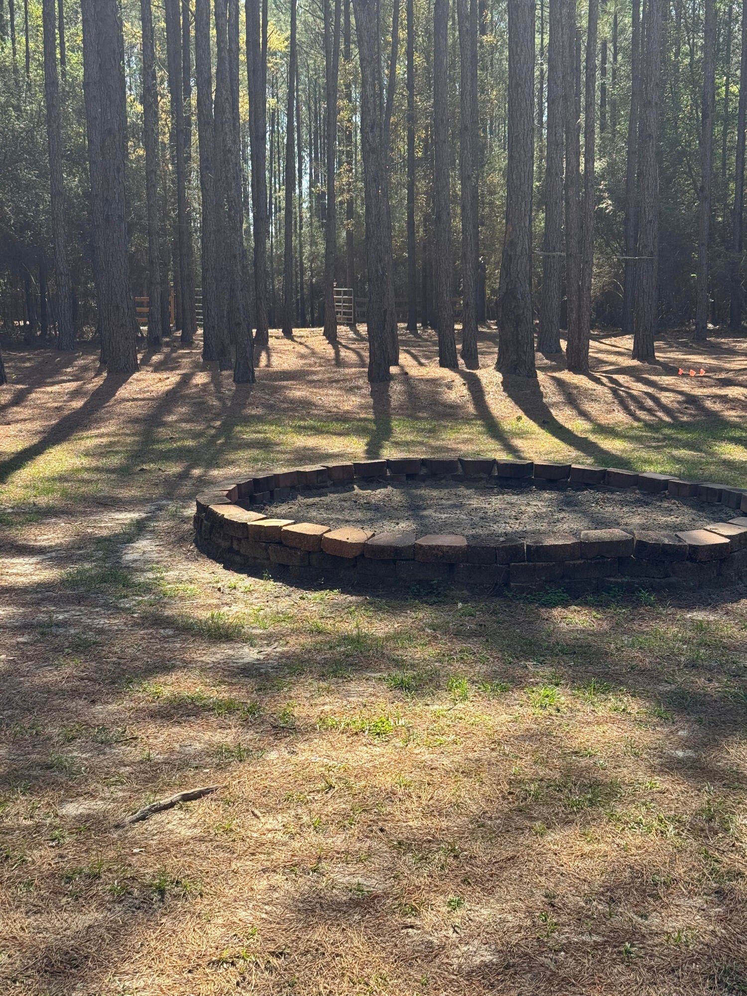 WALTON PLANTATION - Land