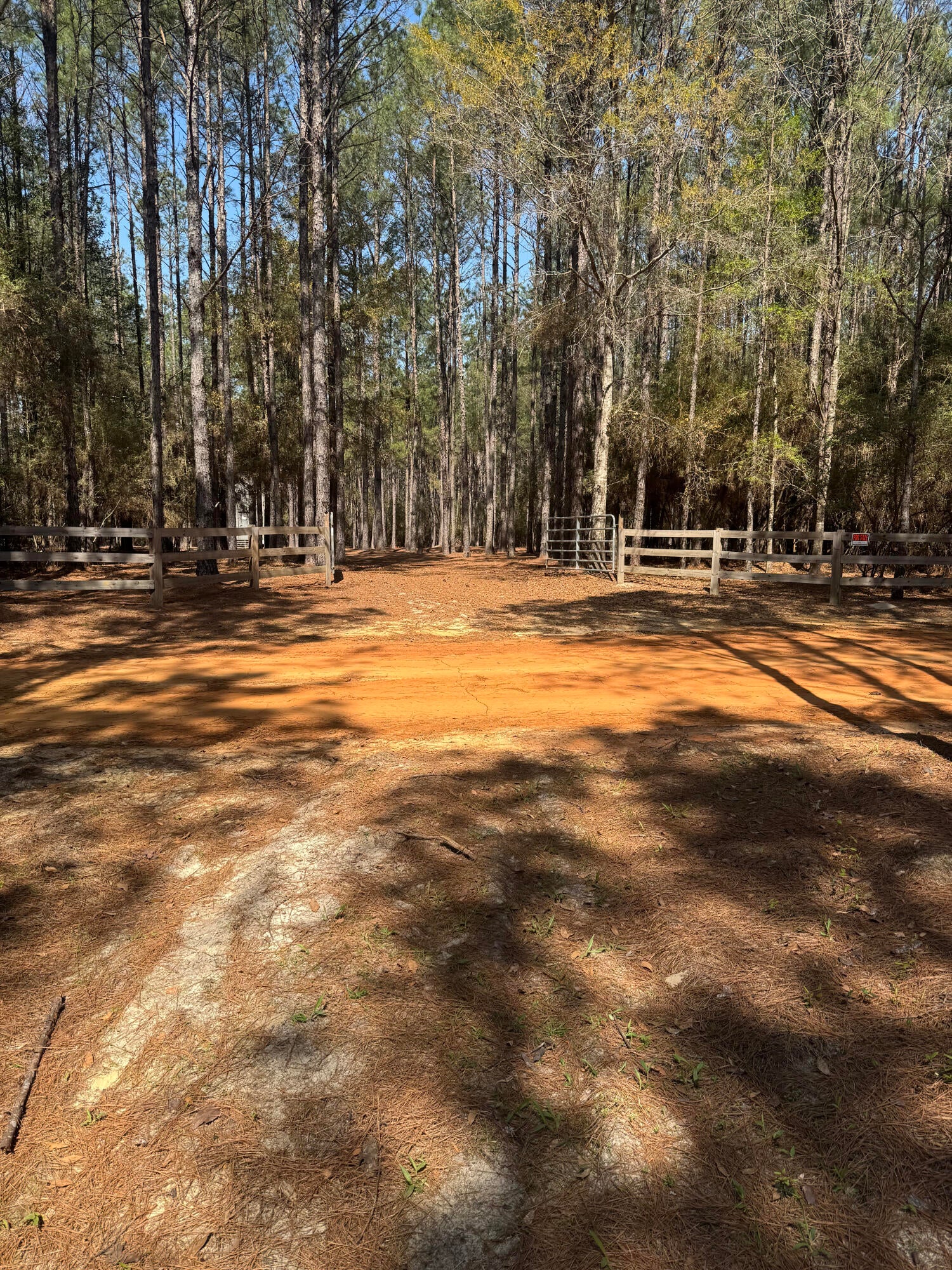 WALTON PLANTATION - Land