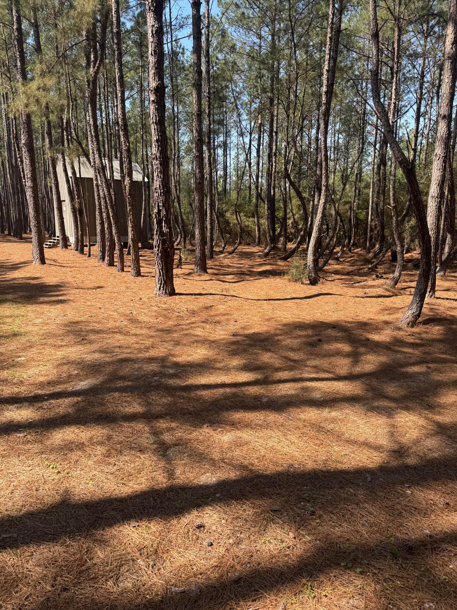 WALTON PLANTATION - Land
