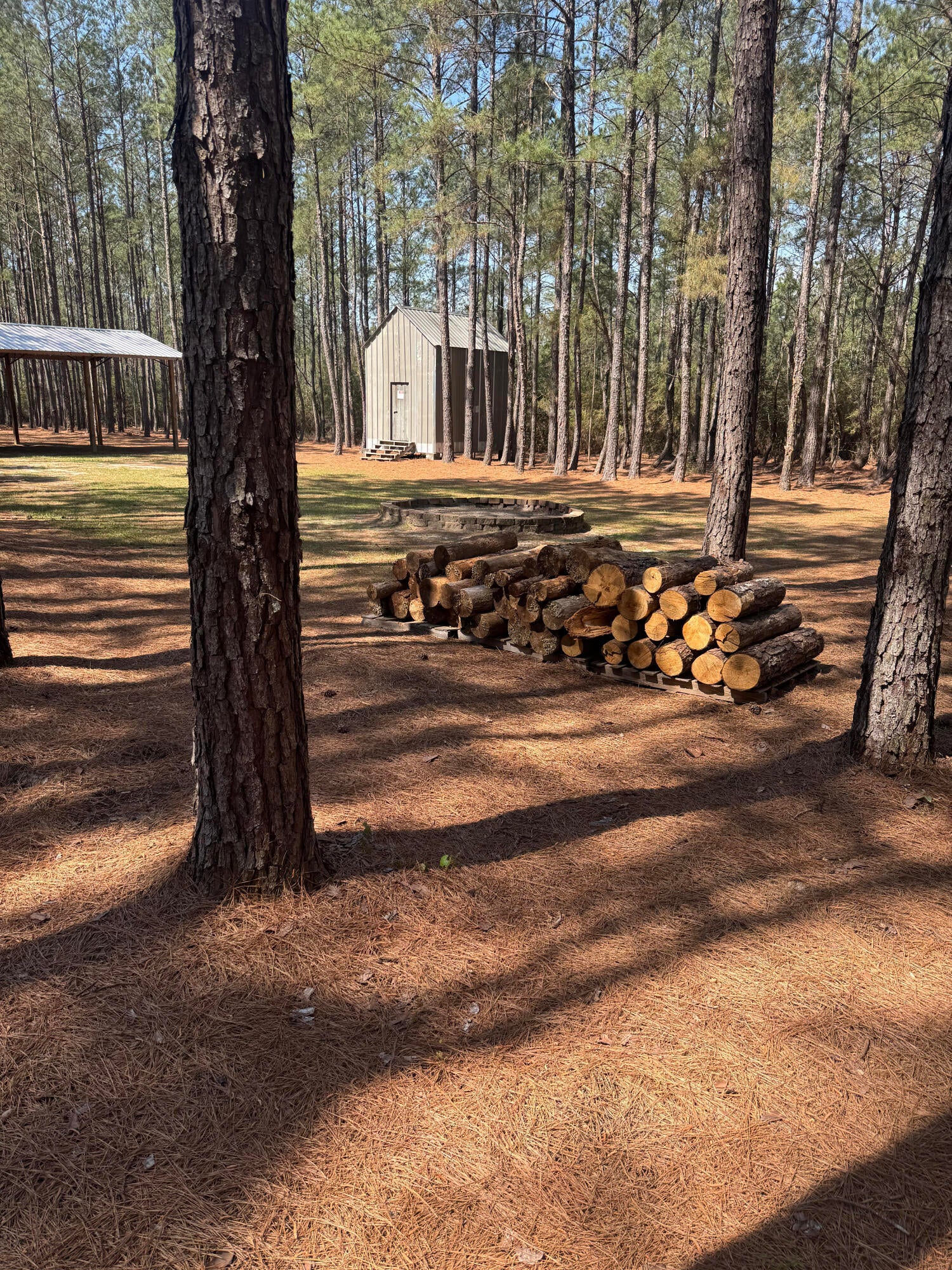 WALTON PLANTATION - Land
