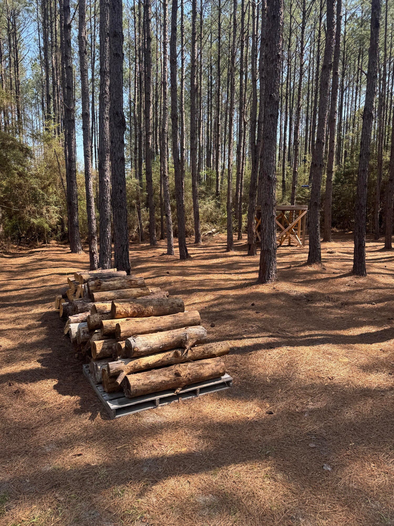 WALTON PLANTATION - Land