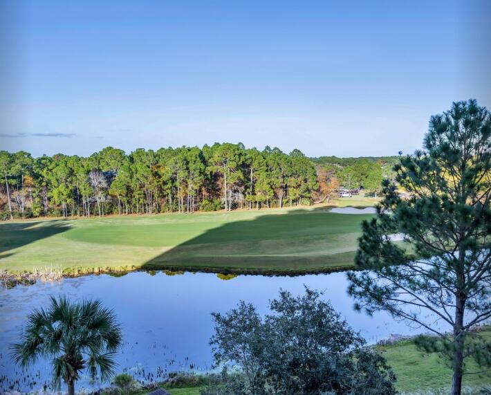Elation - Residential Lease