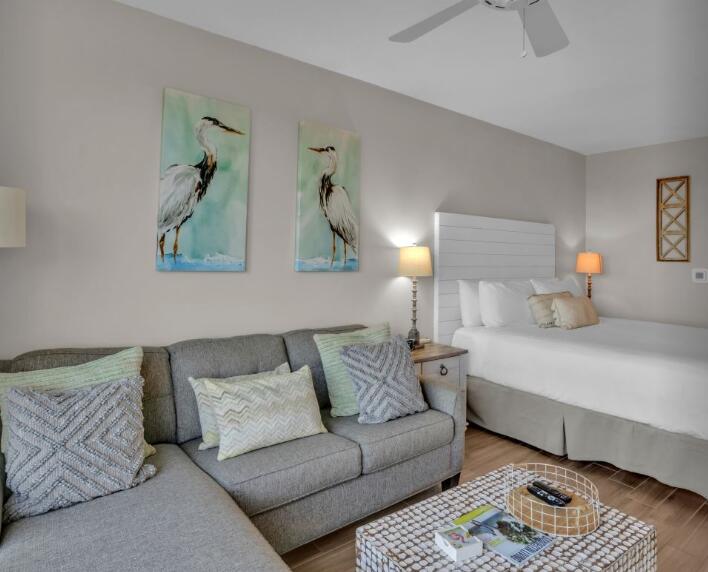 Elation - Residential Lease