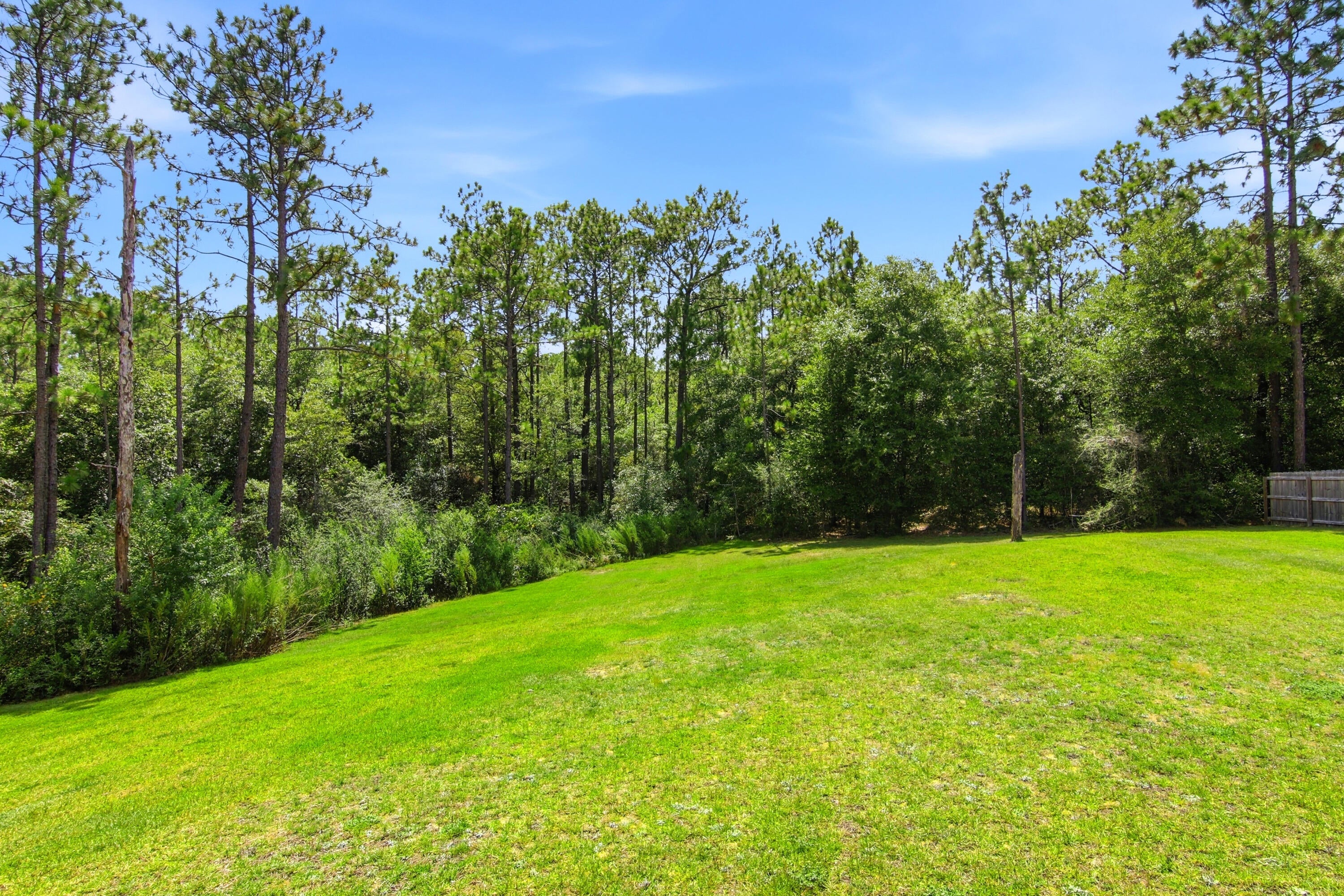 TIMBERLAND RIDGE - Residential