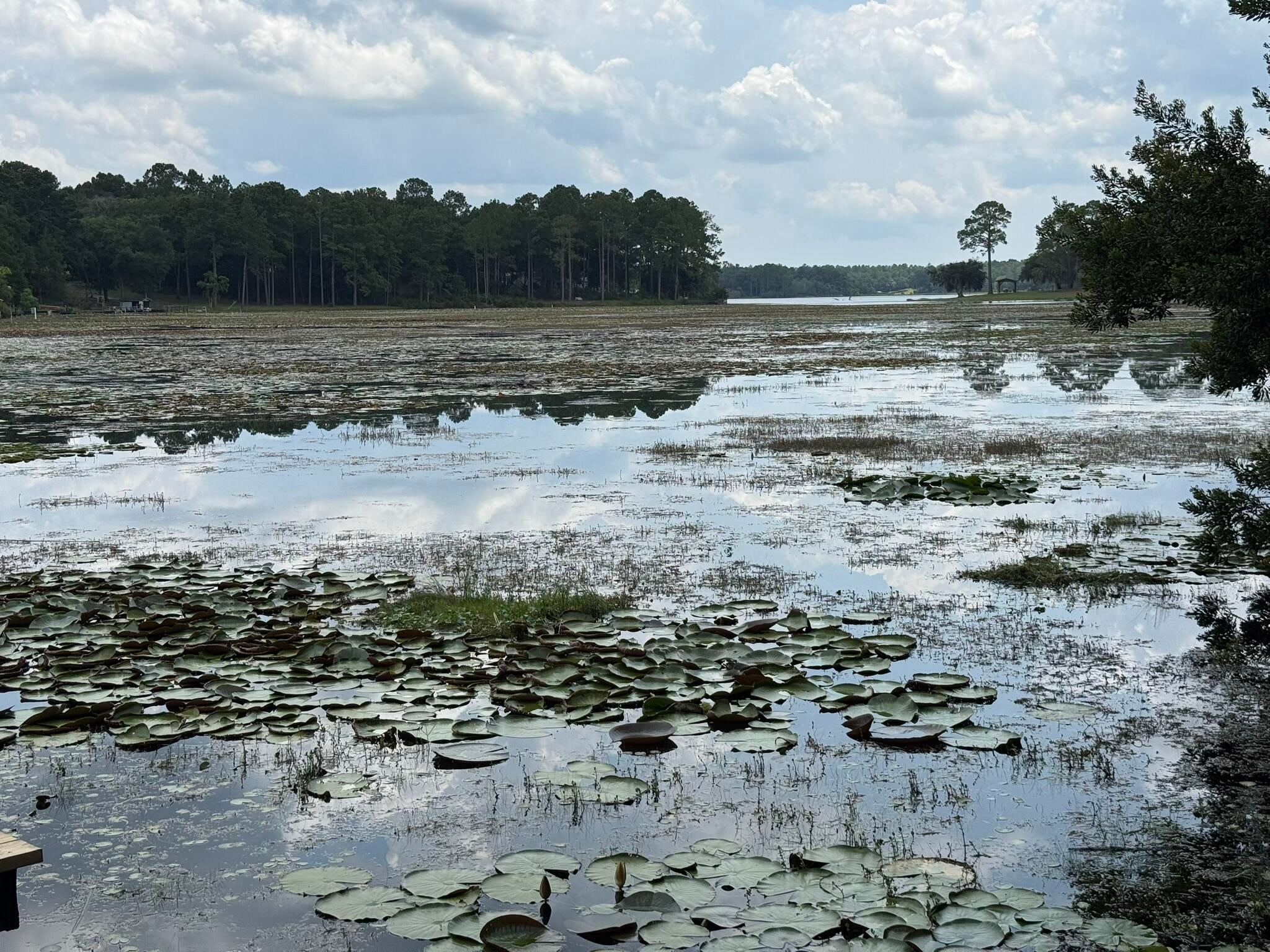 LAKE JUNIPER UNREC - Residential Lease