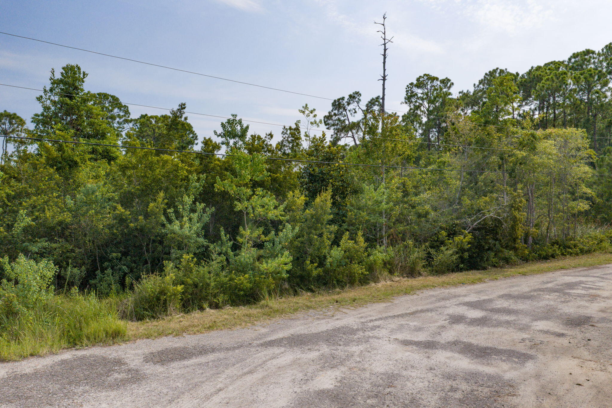 SHELTER COVE ESTATES - Land