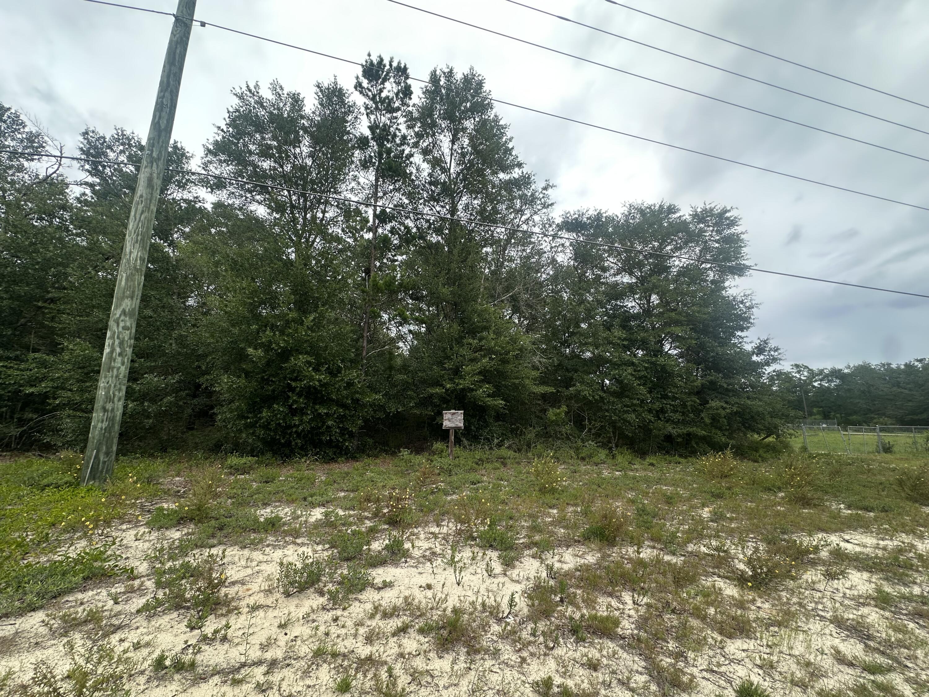 Are you looking for land to build your dream home or place a mobile home? Well, this lot might be for you! Located on Hwy 90 in the Mossy Head community This wooded lot will have easy access to connect to any available utilities (power, internet, water, cable, etc.) So, if you are looking to build your home or for an investment property this might be just what you are looking for.