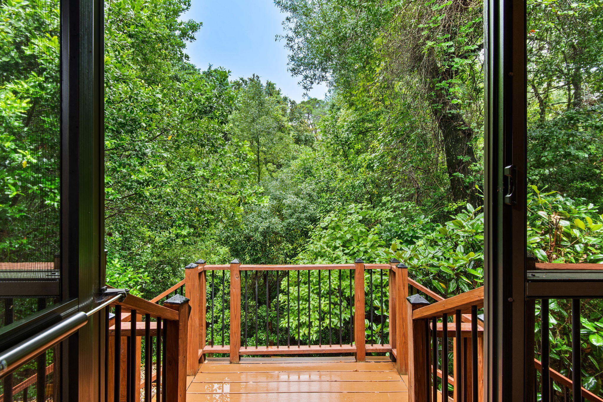 ROCKYWOOD PH 5 - Residential