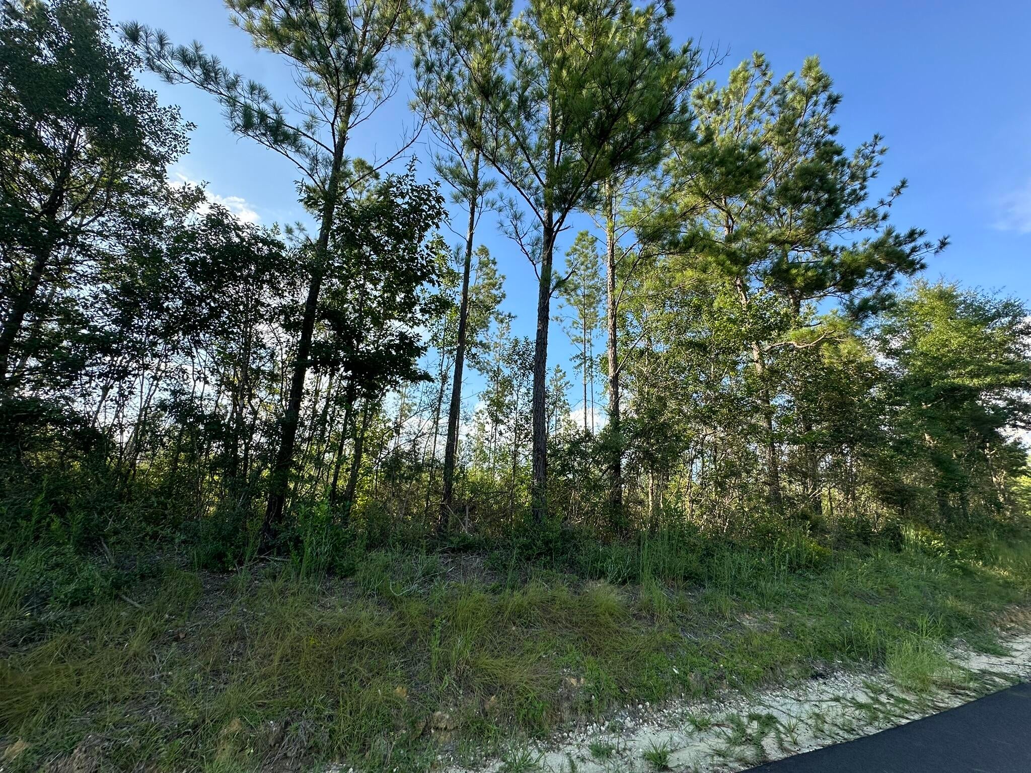 NO RECORDED SUBDIVISION - Land