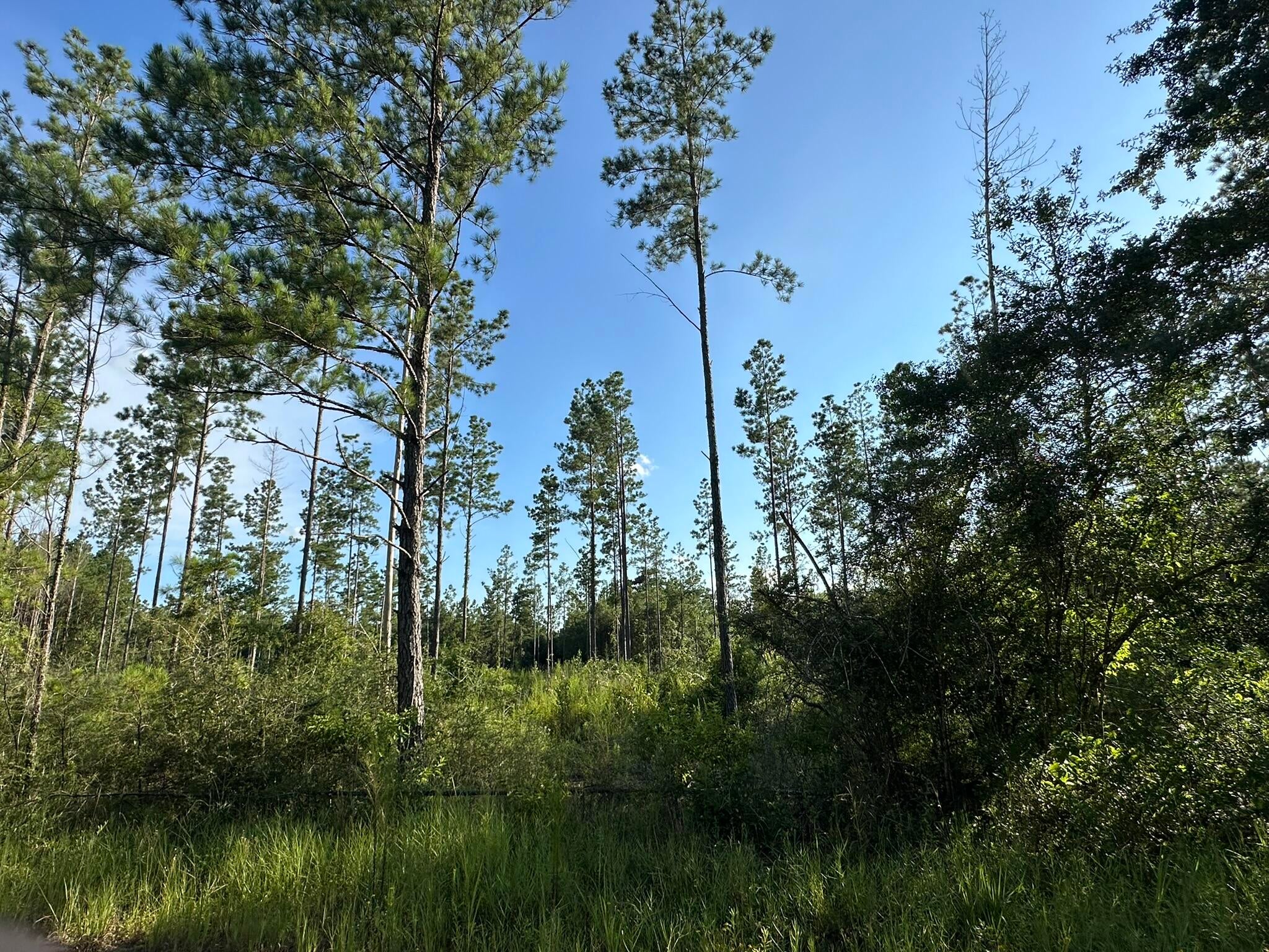NO RECORDED SUBDIVISION - Land