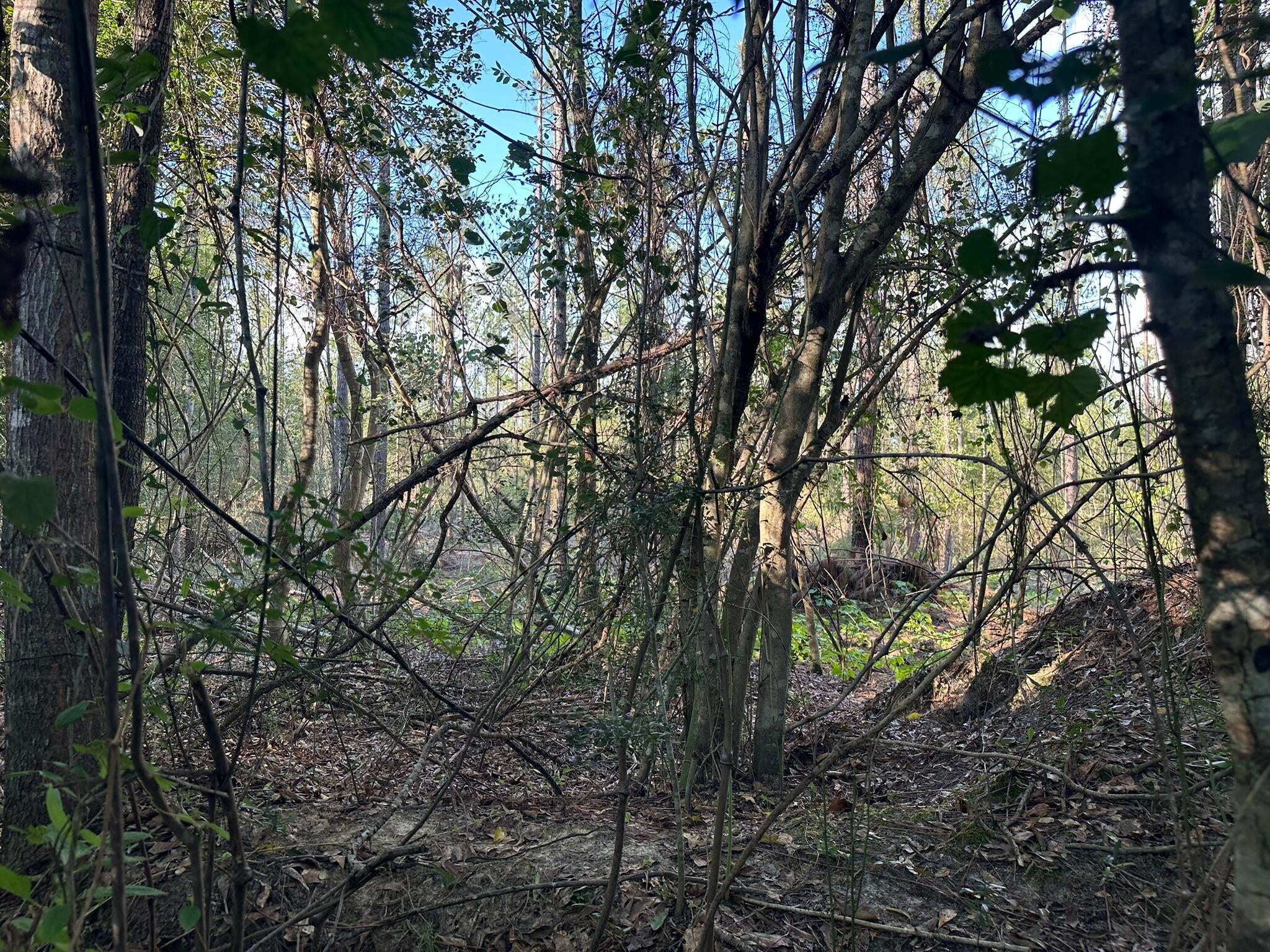 NO RECORDED SUBDIVISION - Land