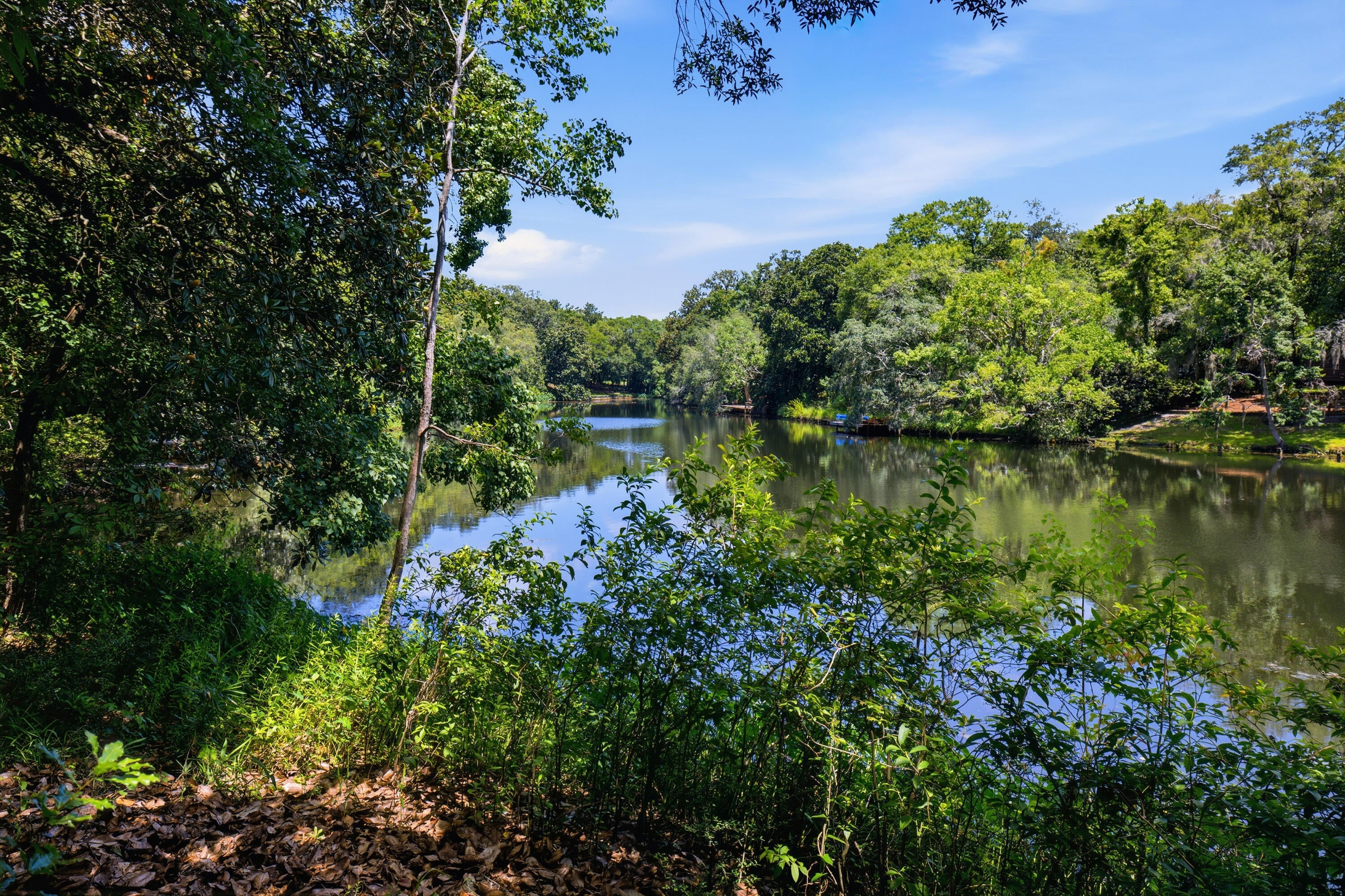 FOREST PARK - Residential