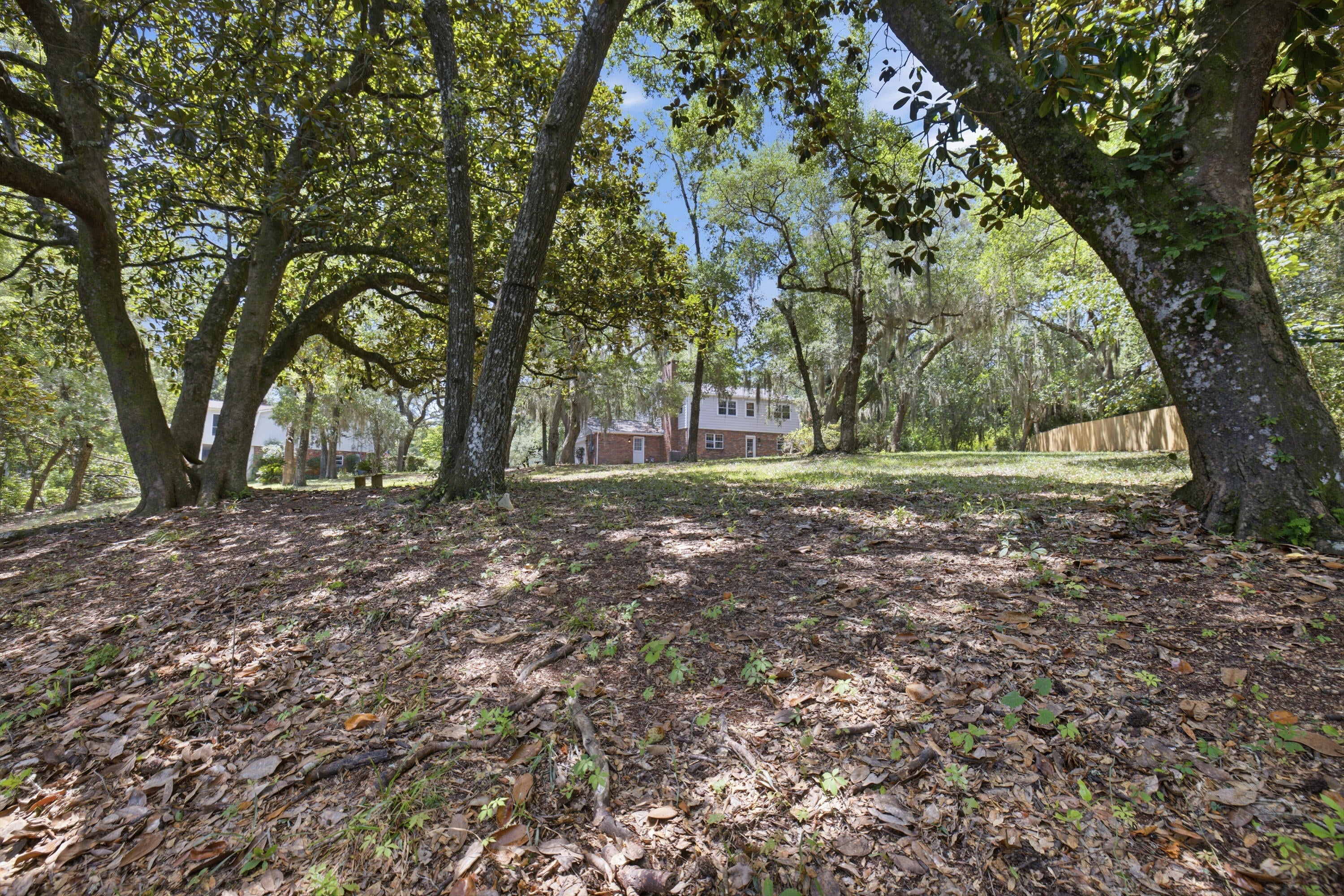 FOREST PARK - Residential
