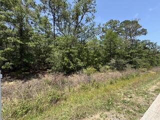 HOLLEY/NAVARRE - Land