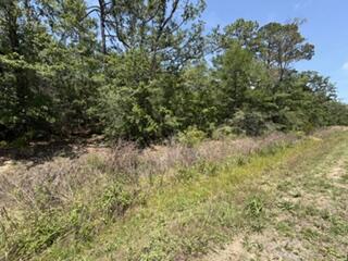HOLLEY/NAVARRE - Land